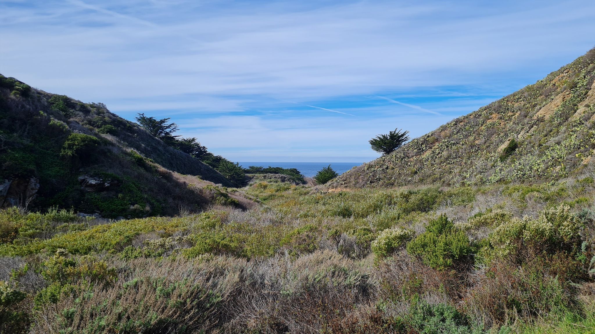 Green valley opening to the ocean, flanked by steep, brush-covered hills. - Soberanes Canyon and Rocky Ridge Trail Loop