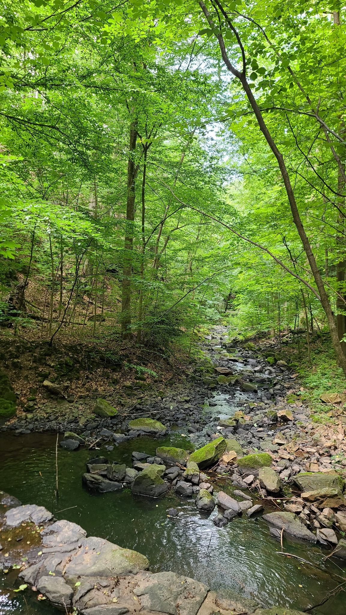 am Bach