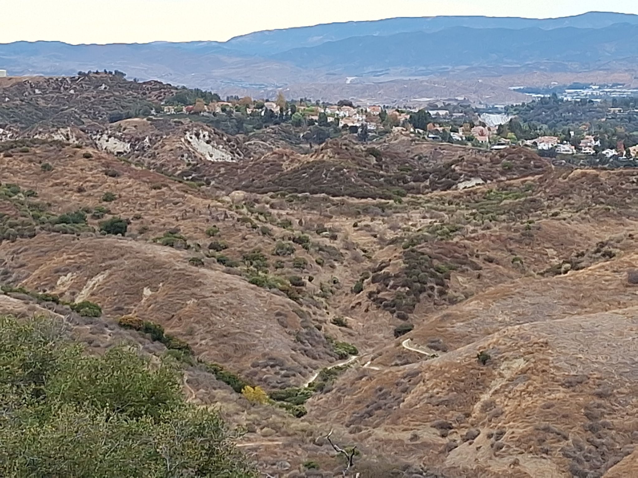 Arid, rolling hills with winding paths and a distant town under an overcast sky. - Towsley Canyon shortcut trail – Taylor Loop Trail loop from Rivendale Park and Open Space
