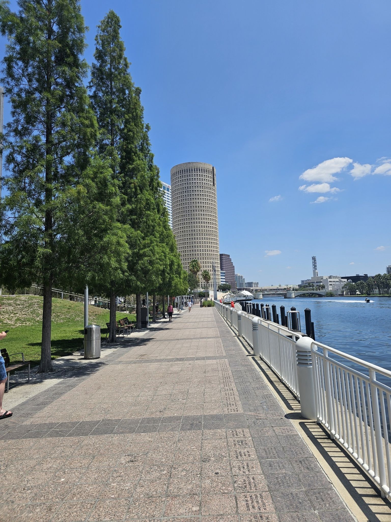 People walk on a sunny waterfront promenade with tall buildings and trees. - Tampa Museum of Art – View of University of Tampa loop from Tampa