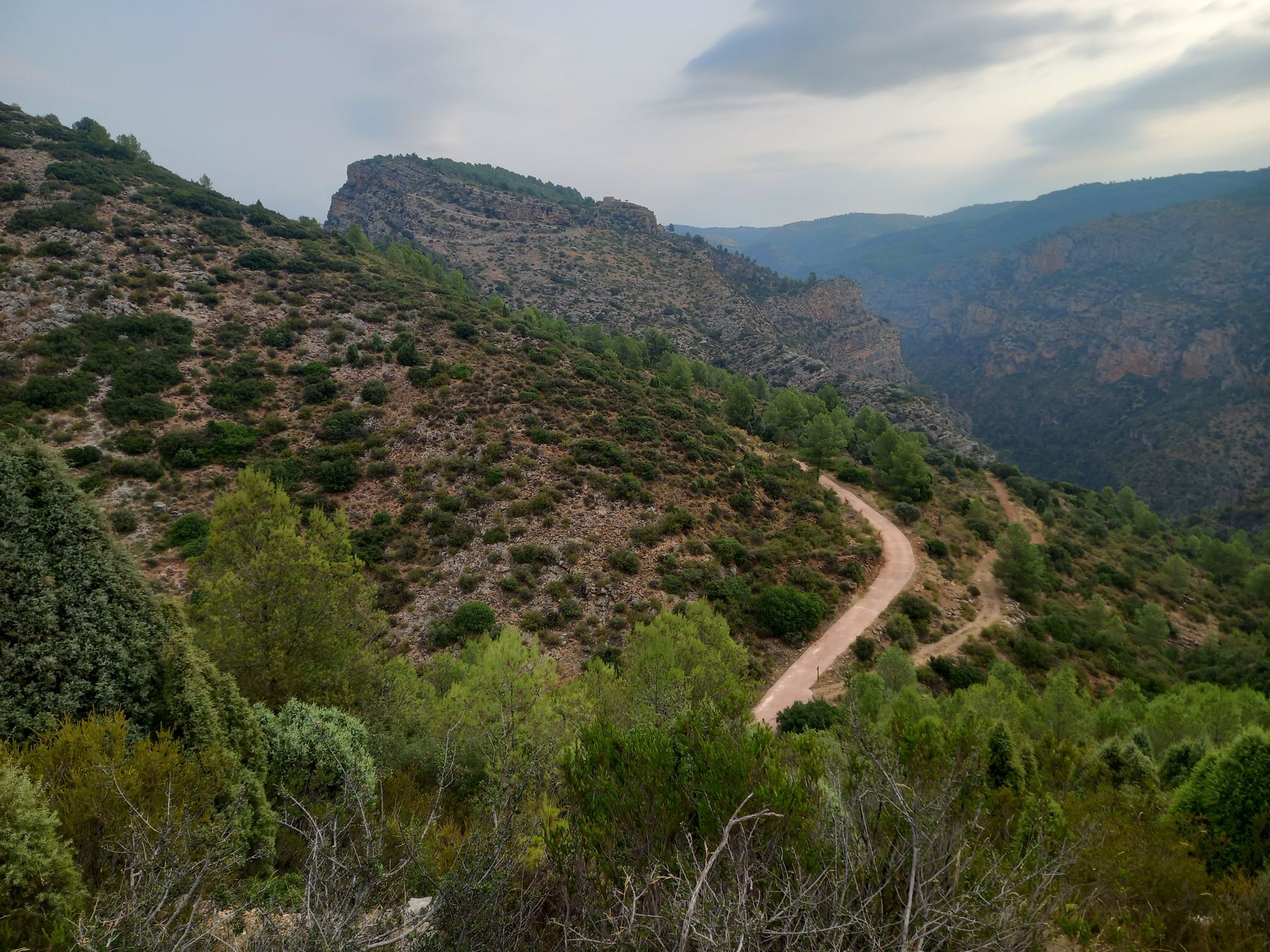 Castell Buey Negro
