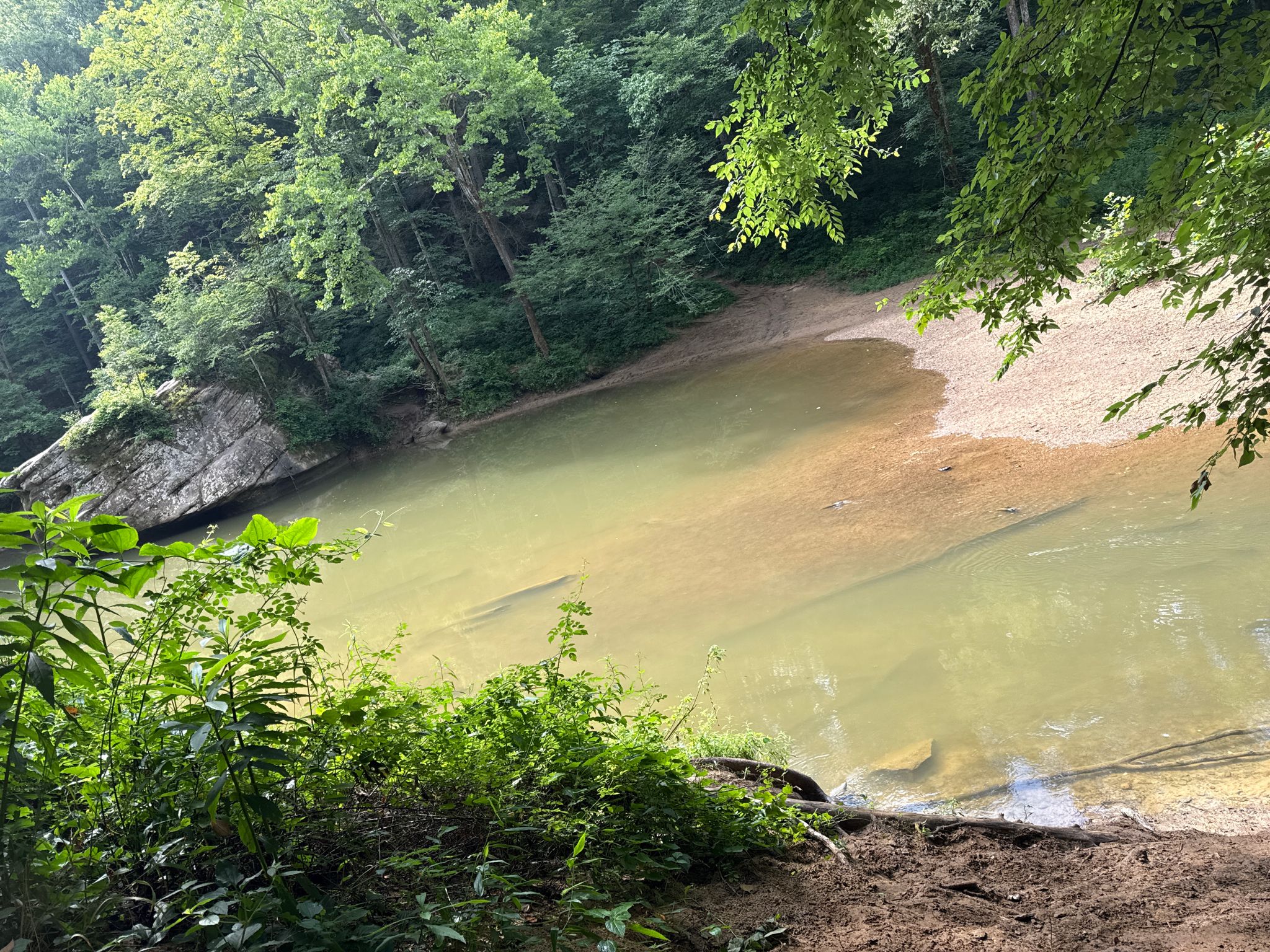 Brightly lit river with a sandy bank and lush green forest. - Cloudsplitter via Sheltowee Connector Trail