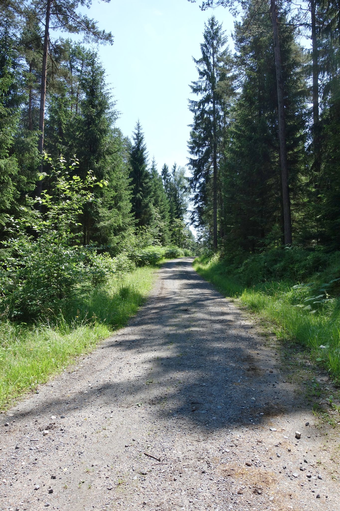 ... denn jetzt kommen fast 2 km Schotter, unterbrochen ...