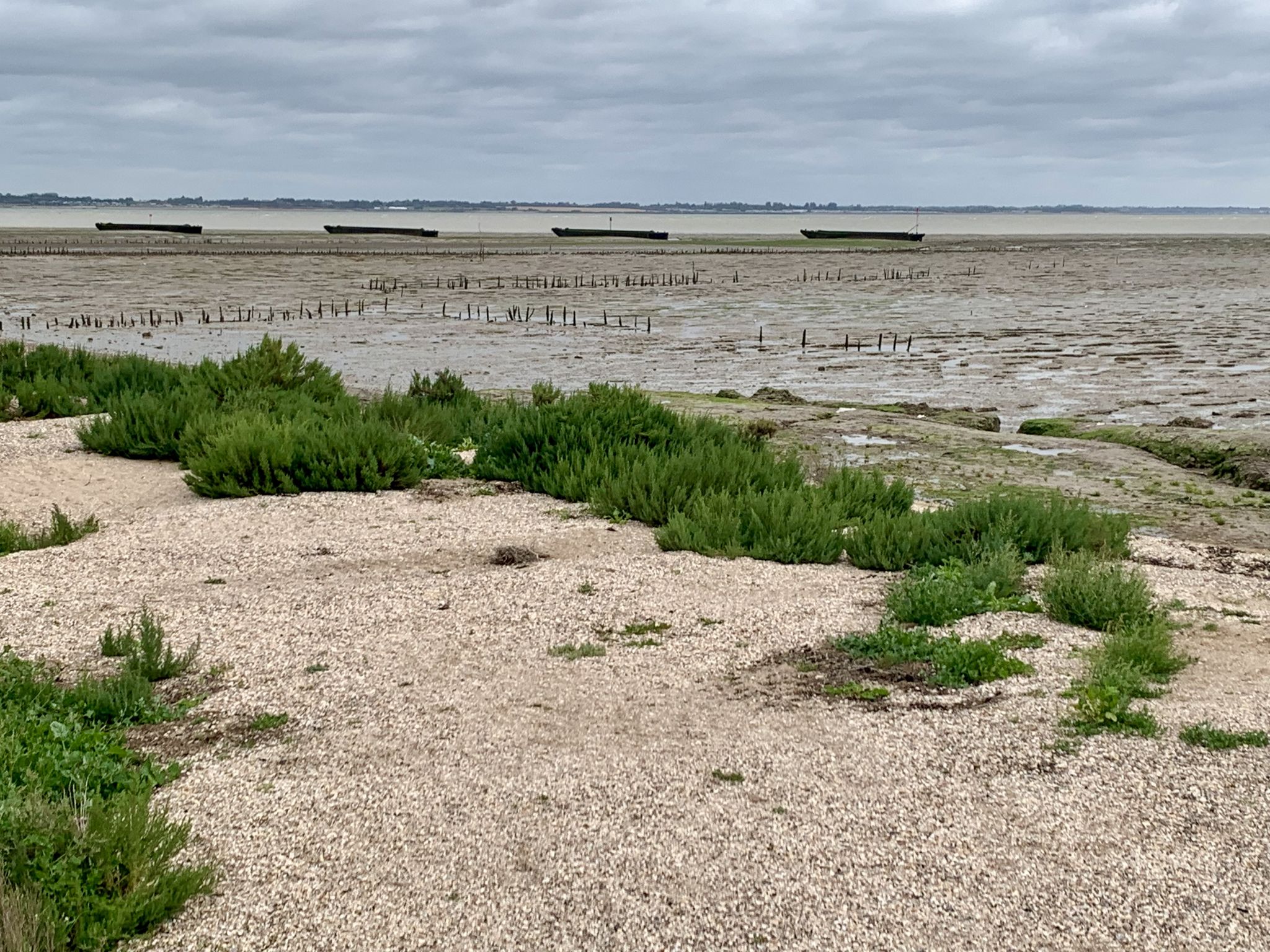 Concrete barges