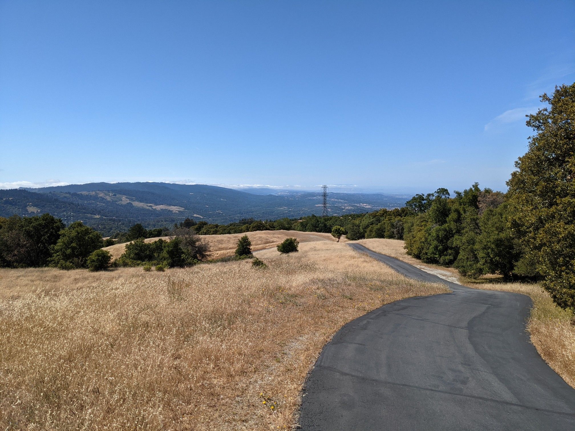 Paved road curves through dry golden hills under a clear blue sky. - Black Mountain via Sag Pond loop