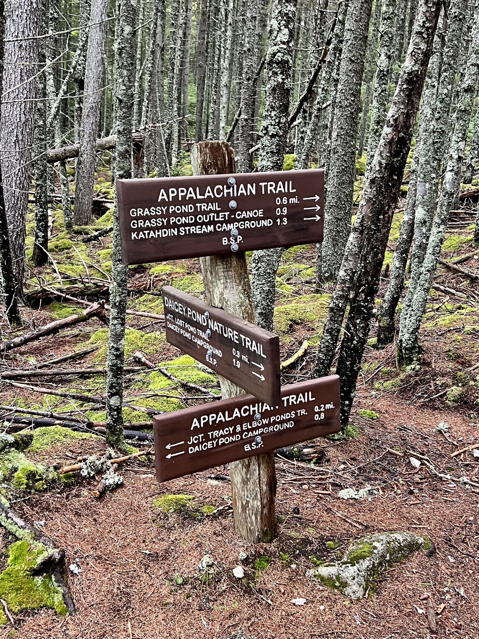 A wooden signpost with multiple directional arrows in a dense forest. - Grassy Pond and Daicey Pond via Appalachian Trail