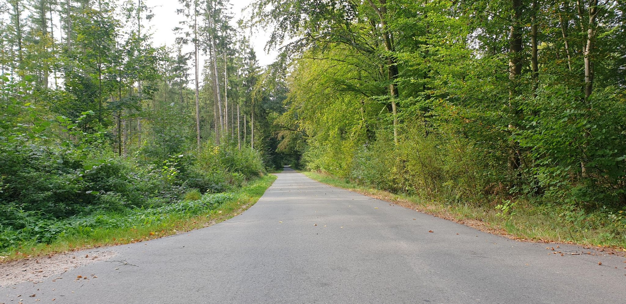 Start- und Zielpunkt Höveter Weg