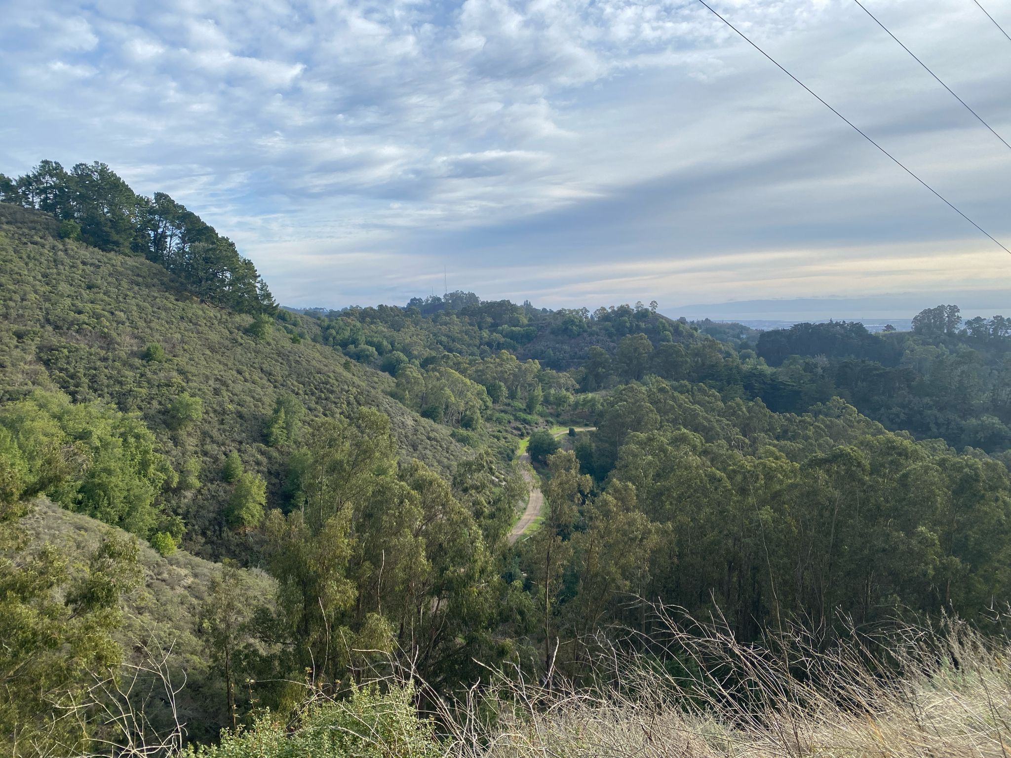 Overcast view of a winding path through green, wooded hills. - Convict, Upper Jordan, and Side Hill Trail Loop