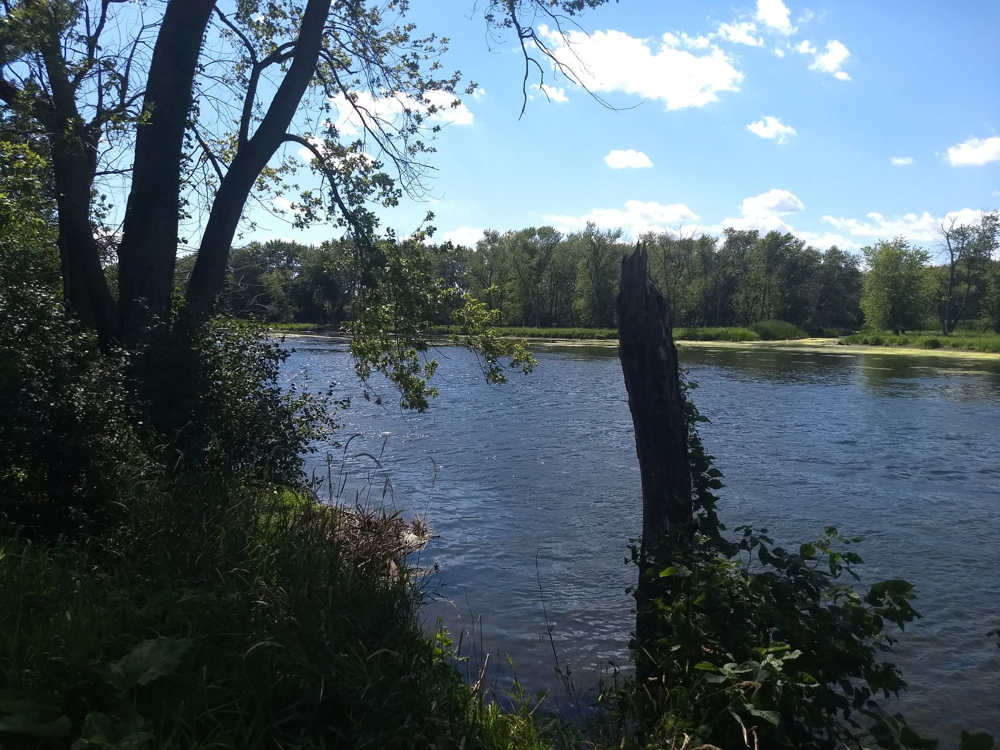 A wide river flows past lush green banks under a partly cloudy sky. - Centennial Trail loop from Romeoville