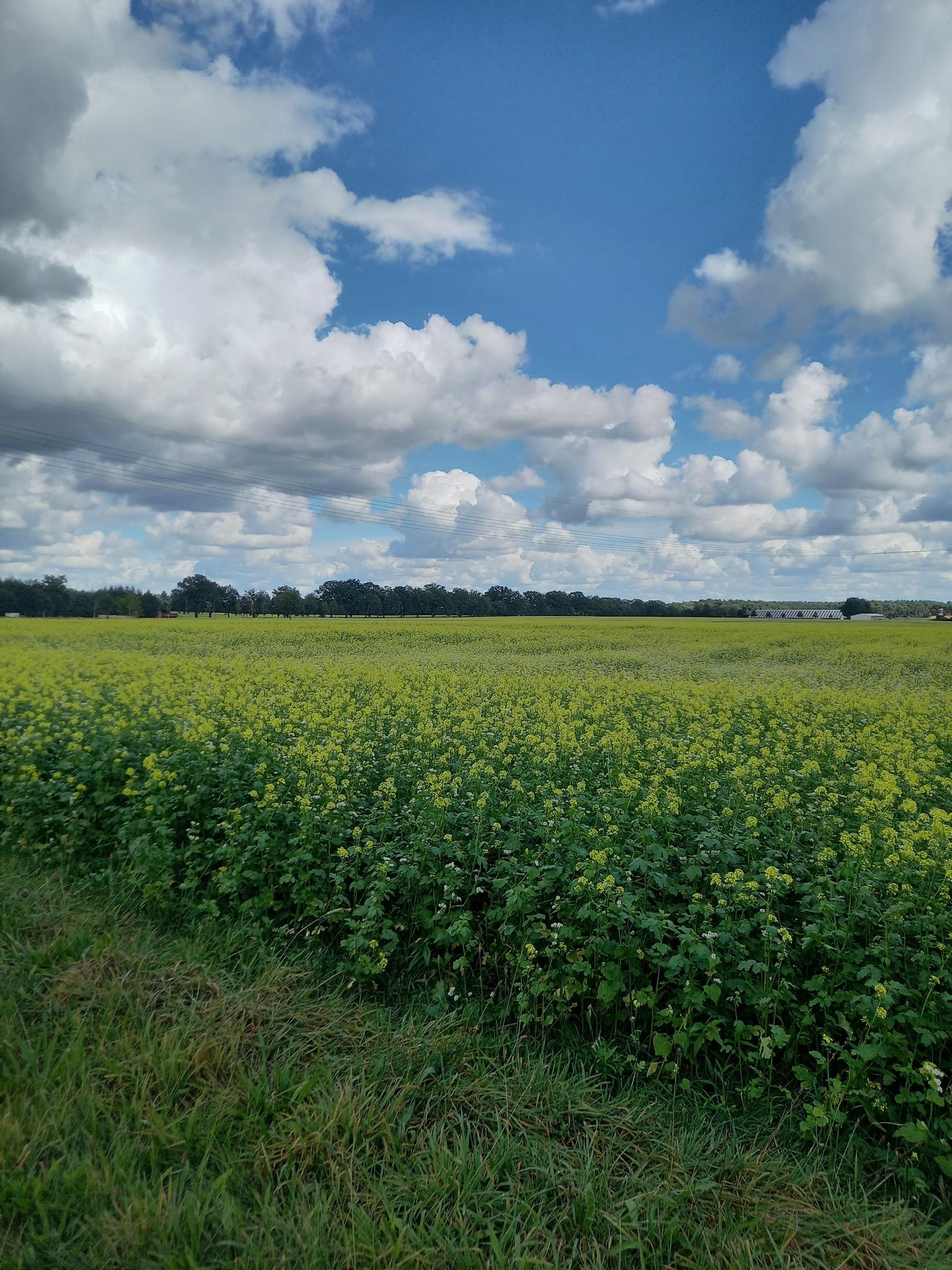 Frühlingsfoto im September