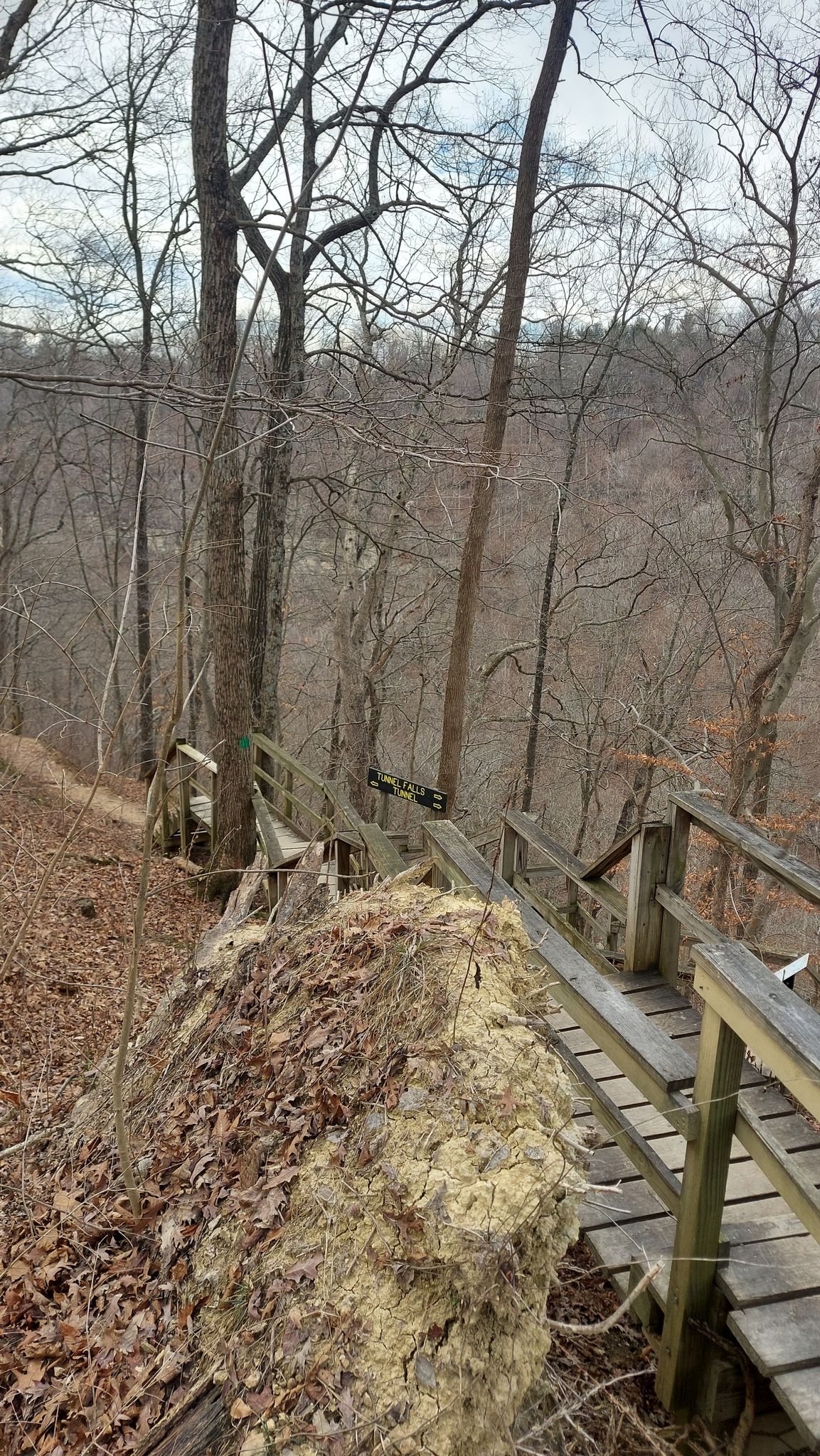 A wooden boardwalk winds along a steep, rocky, bare forest hillside. - Clifty Falls: Trail 5, 2, and 8 Loop
