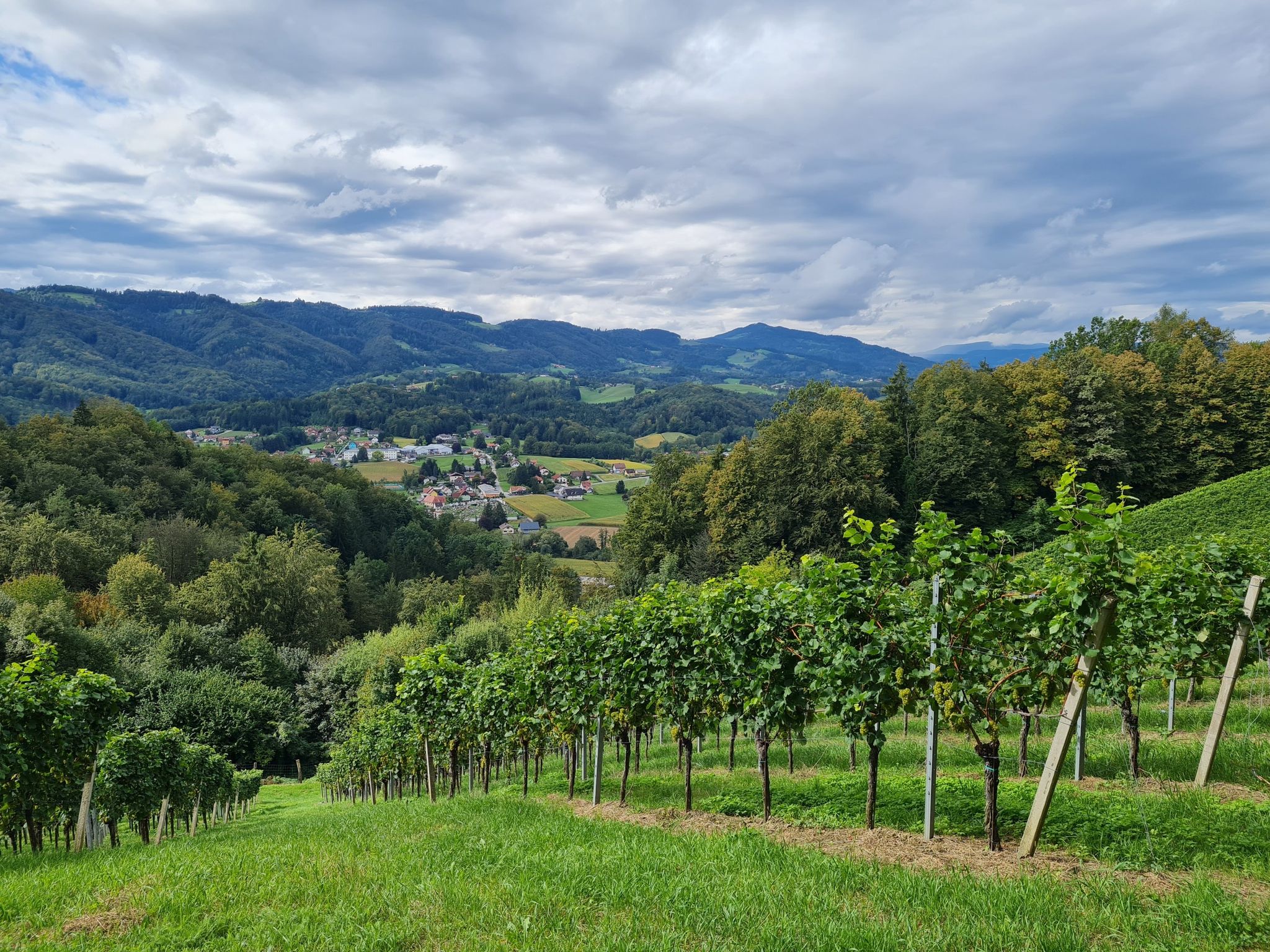 Arnfelsblick