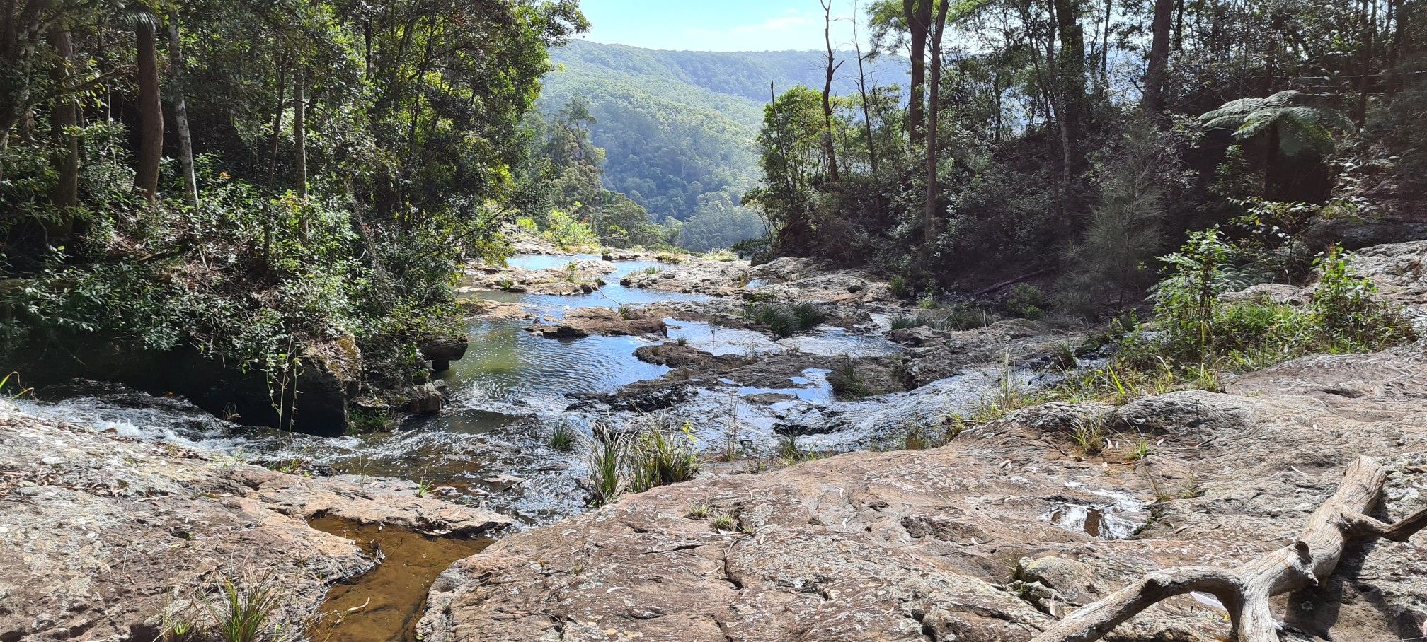 Top of Purling Brook Falls