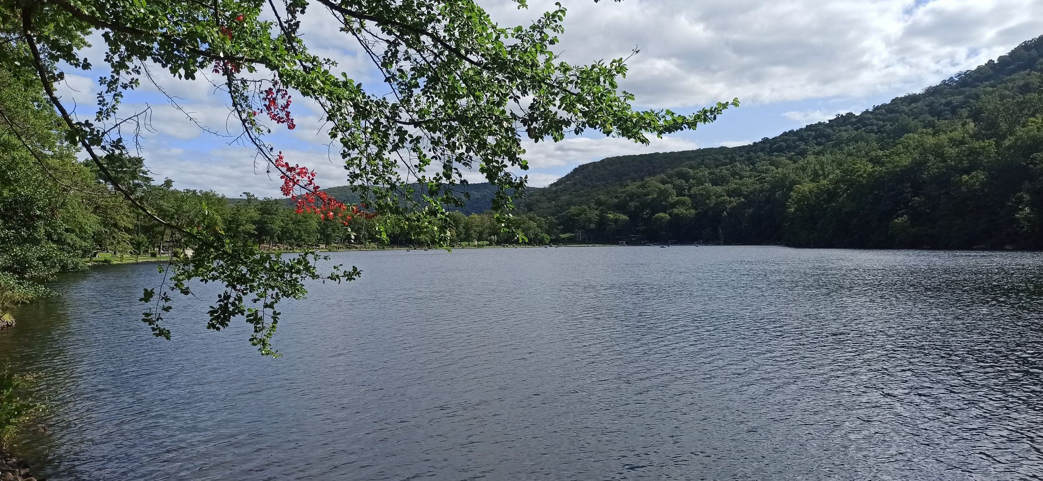 Wide lake with forested mountains under an overcast sky, branches in foreground. - Hessian Lake Loop