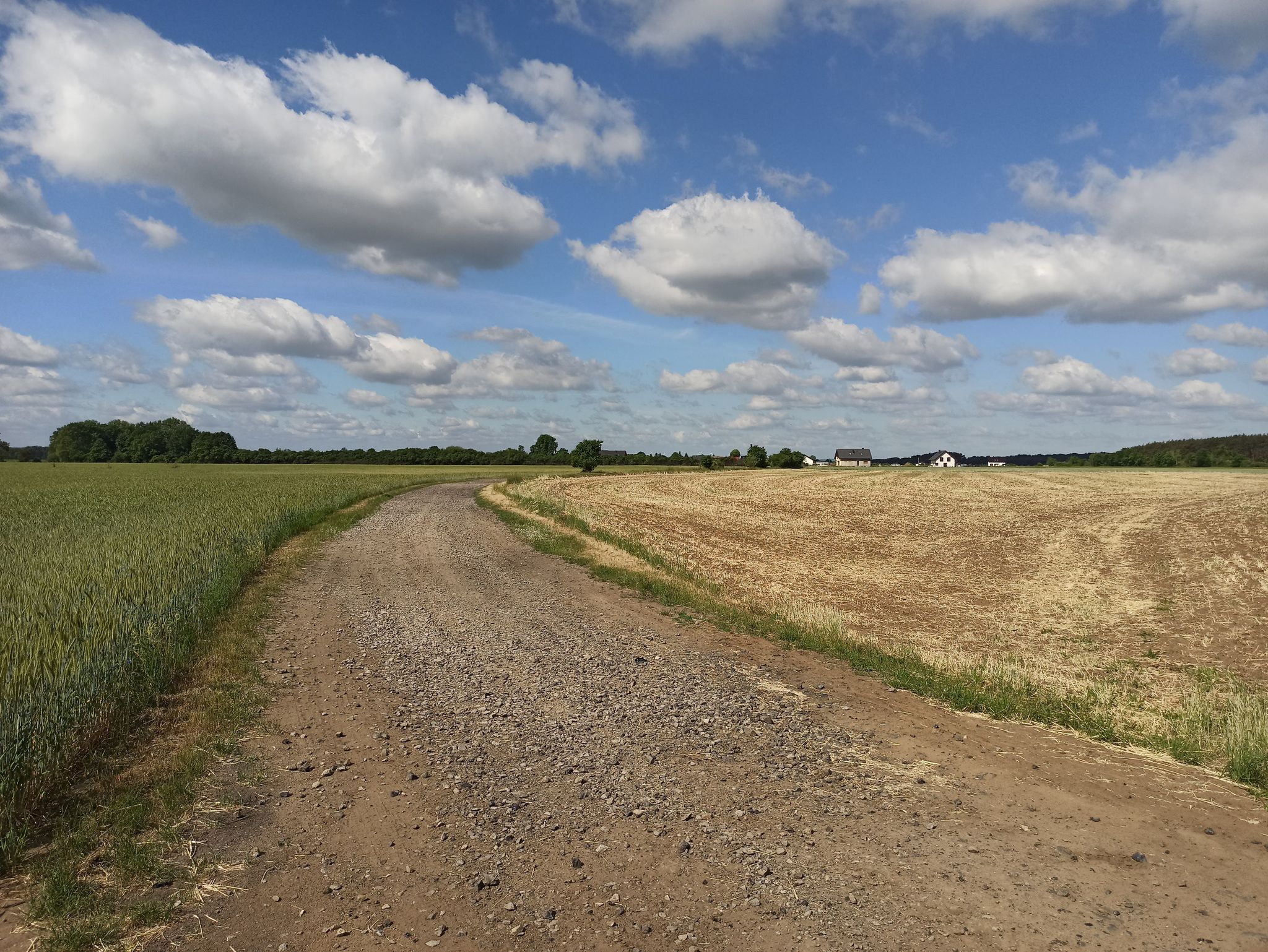 DS Klucze - Wilków