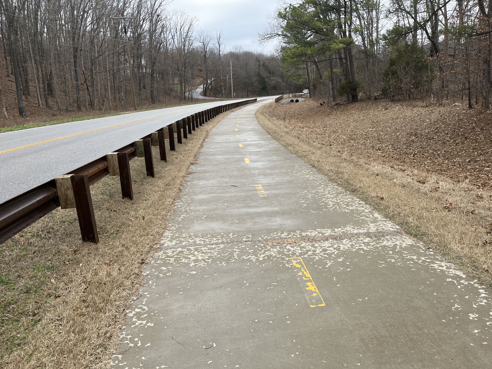 A concrete path with yellow markings next to a road and guardrail, bare trees. - Blowing Springs Greenway, Rago, and Back 40 Loop