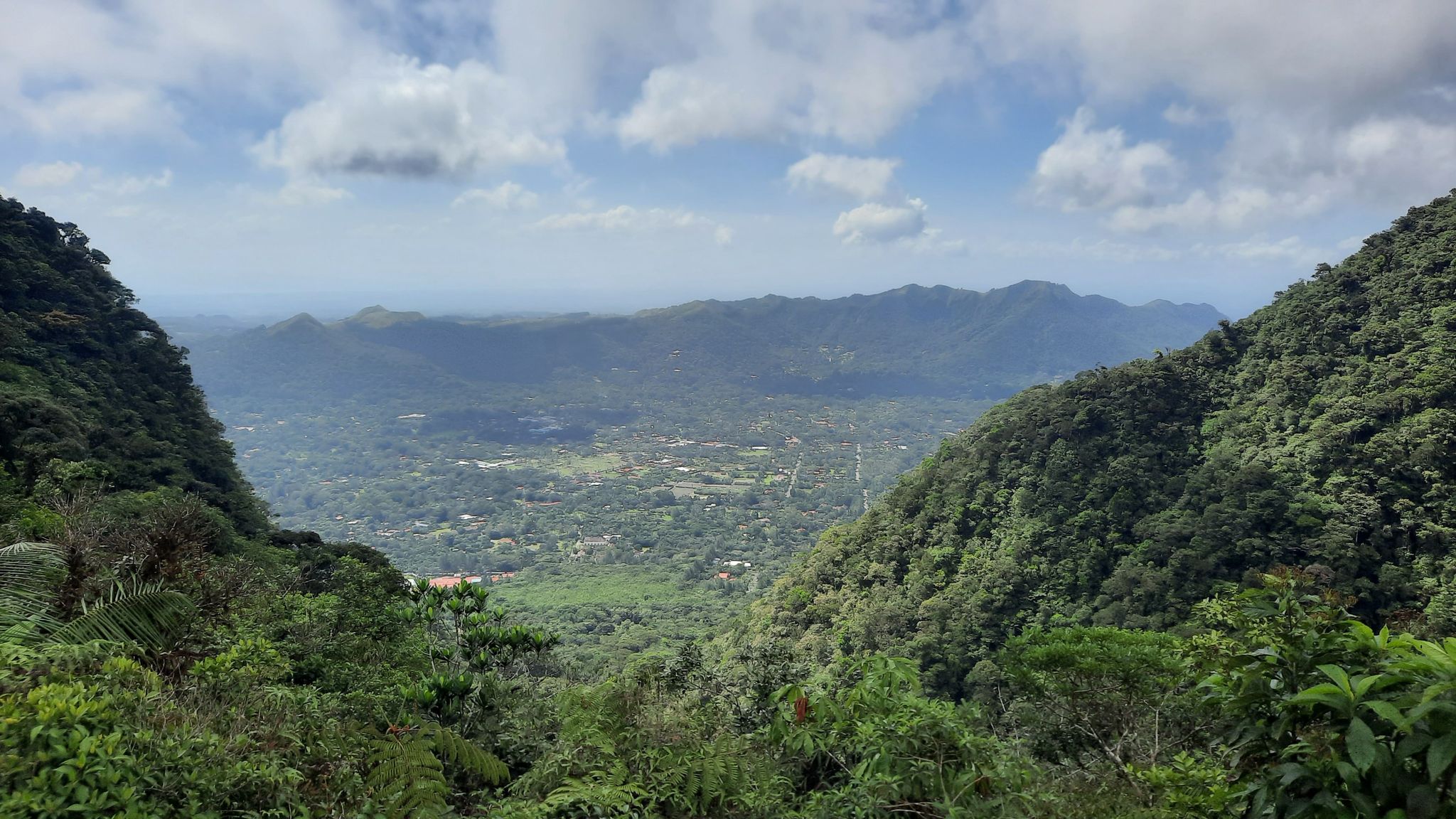 Mirador
