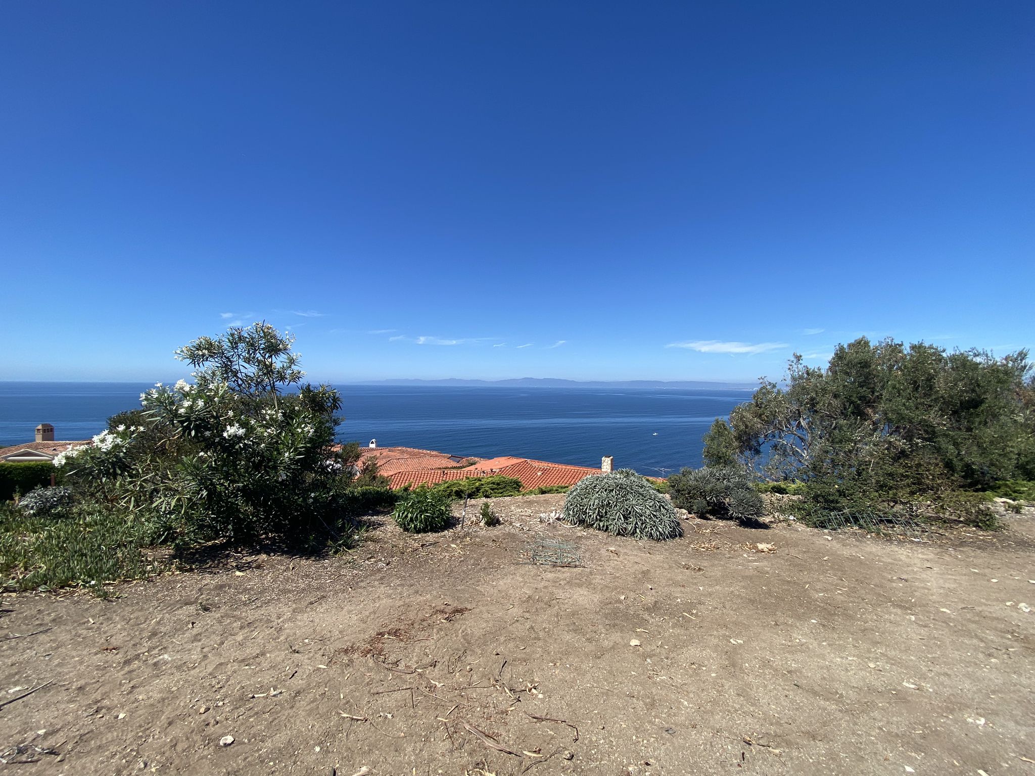 Ocean view from a hill, with red-roofed houses and green shrubs in foreground. - Palos Verdes Cove – Bluff Cove loop from Palos Verdes High School