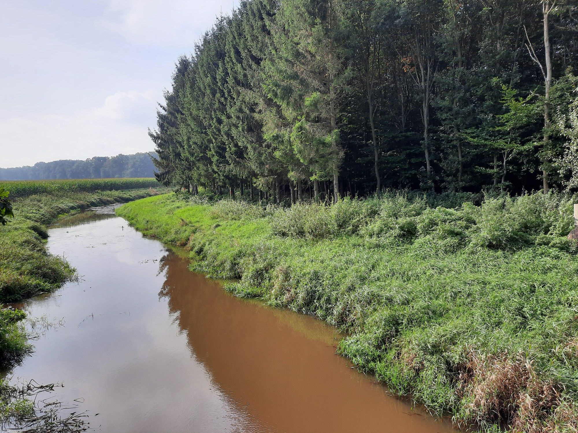 An der Siede