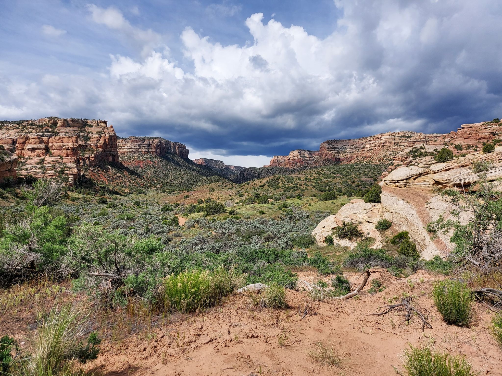 Dramatic canyon landscape with red rock cliffs, green bushes, and cloudy sky. - Echo Canyon Trail