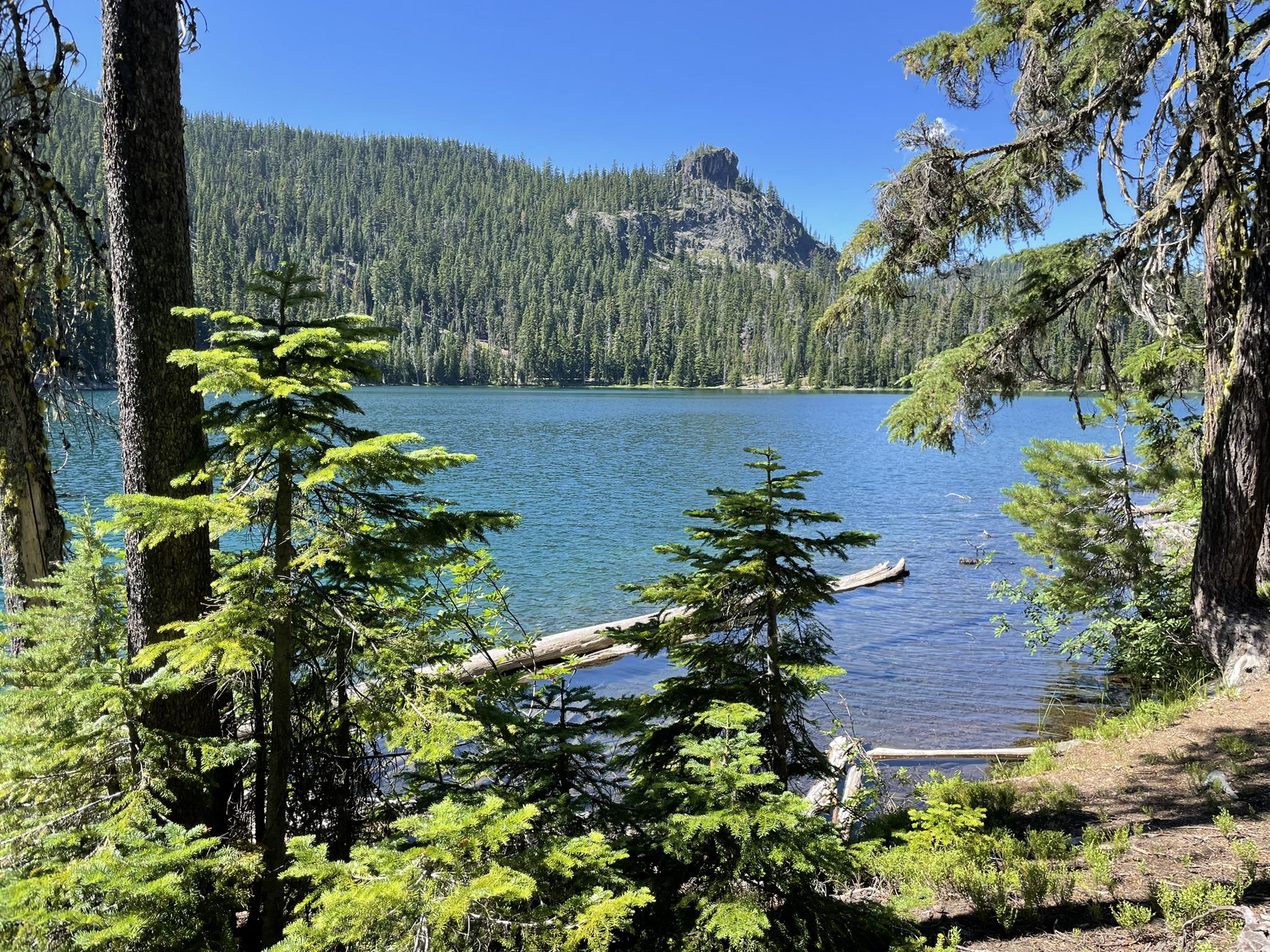 Blue lake framed by pine trees, with distant forested mountains under clear sky. - Lower, Middle, and Upper Rosary Lake