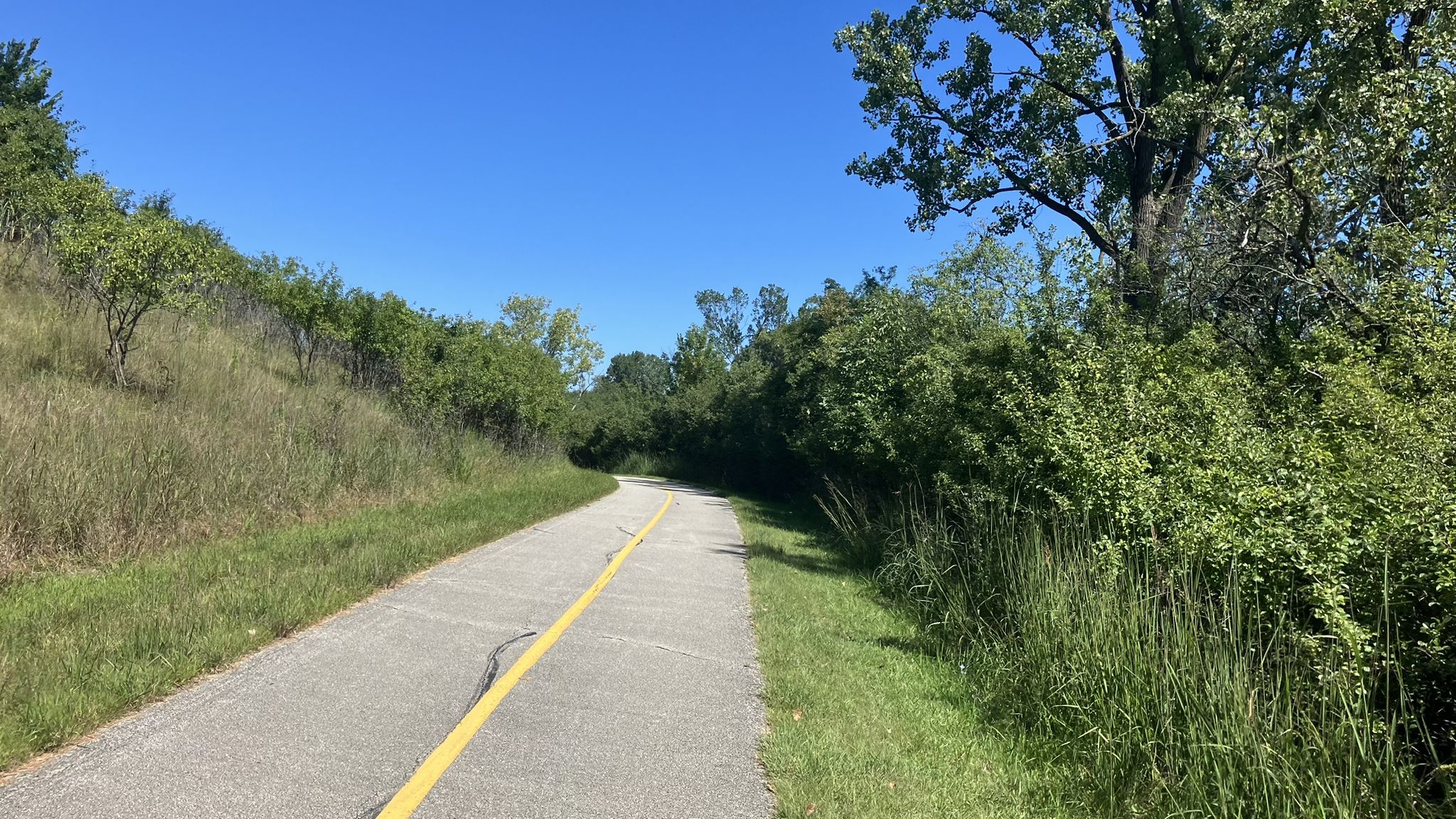 Sunny paved path with a yellow line, bordered by green foliage. - Skokie Lagoon No. 3 loop from Highland Park