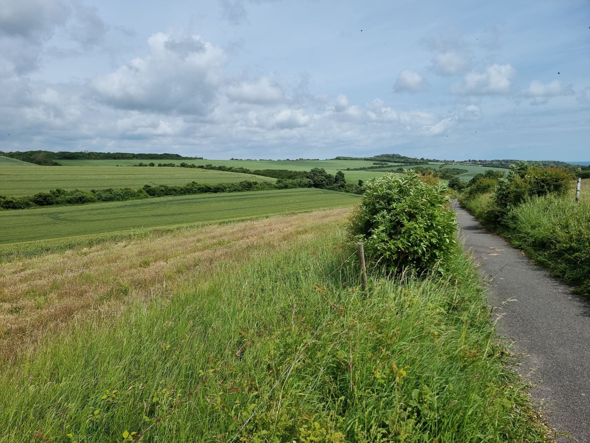 Kent