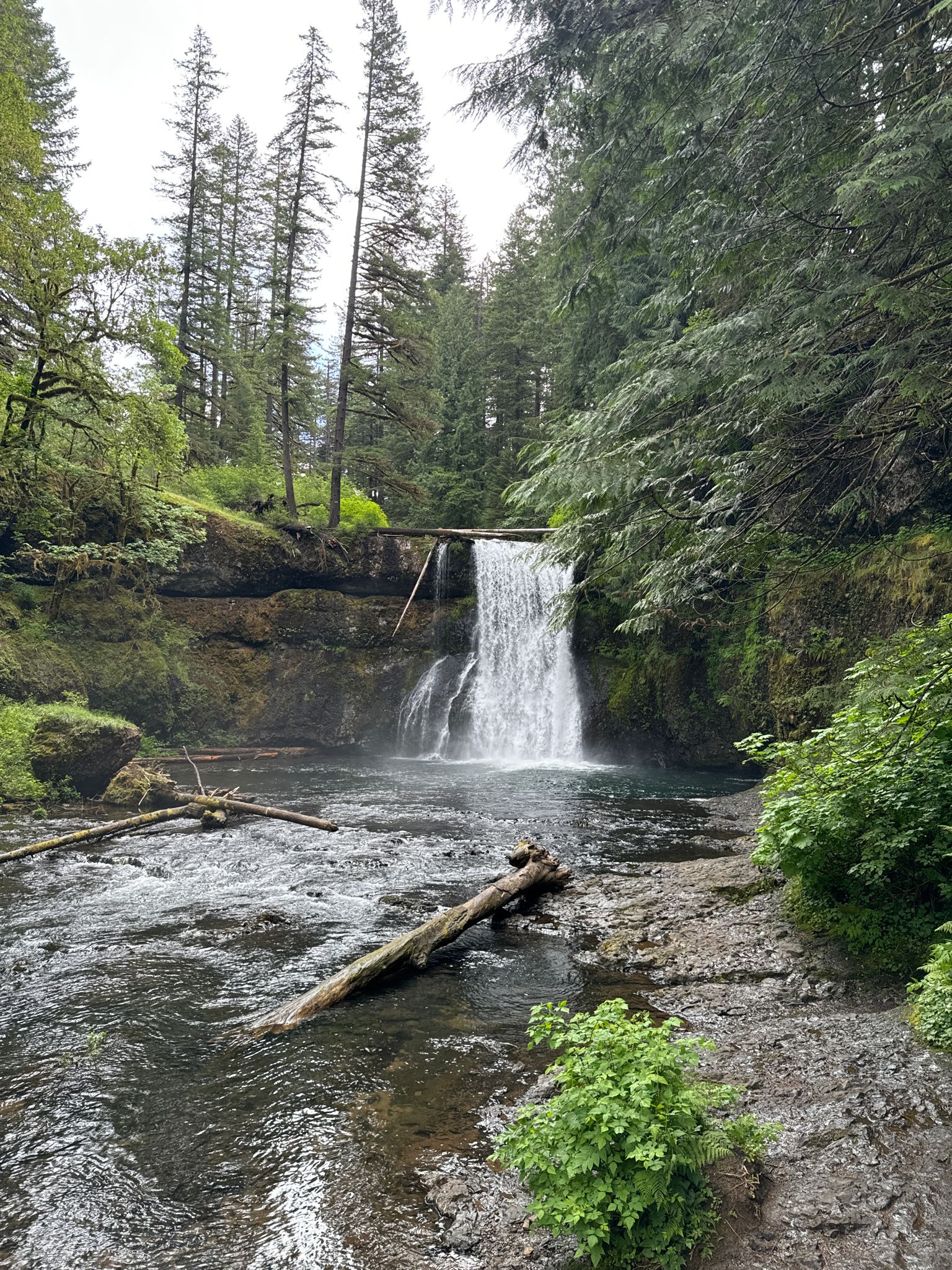 Waterfall cascading into a pool, surrounded by lush green forest under cloudy sky. - Trail of Ten Falls