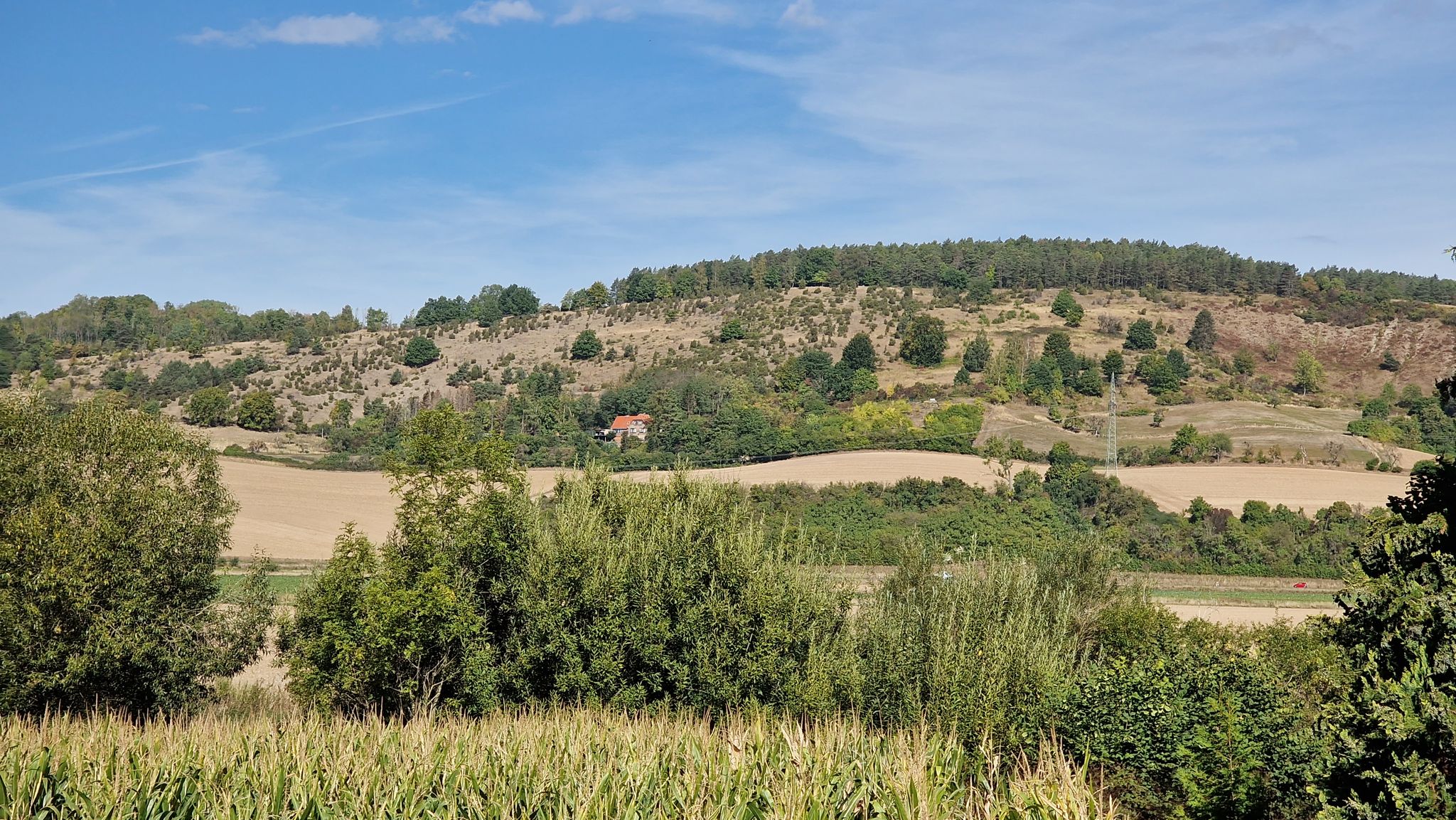 Naturschutzgebiet Altendorfer Berg