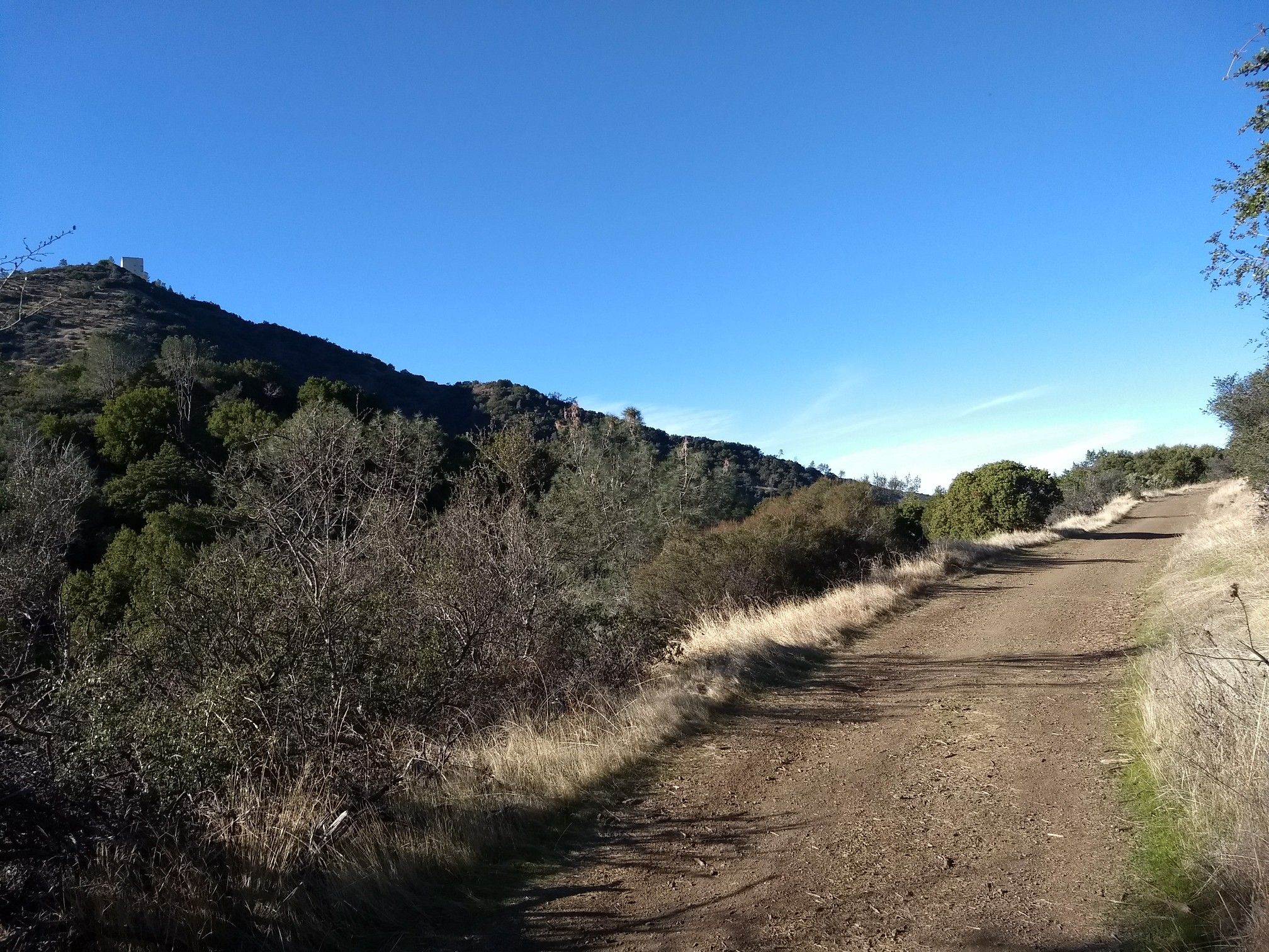 A wide dirt path alongside dry brush and green hills. - Mount Umunhum Trail