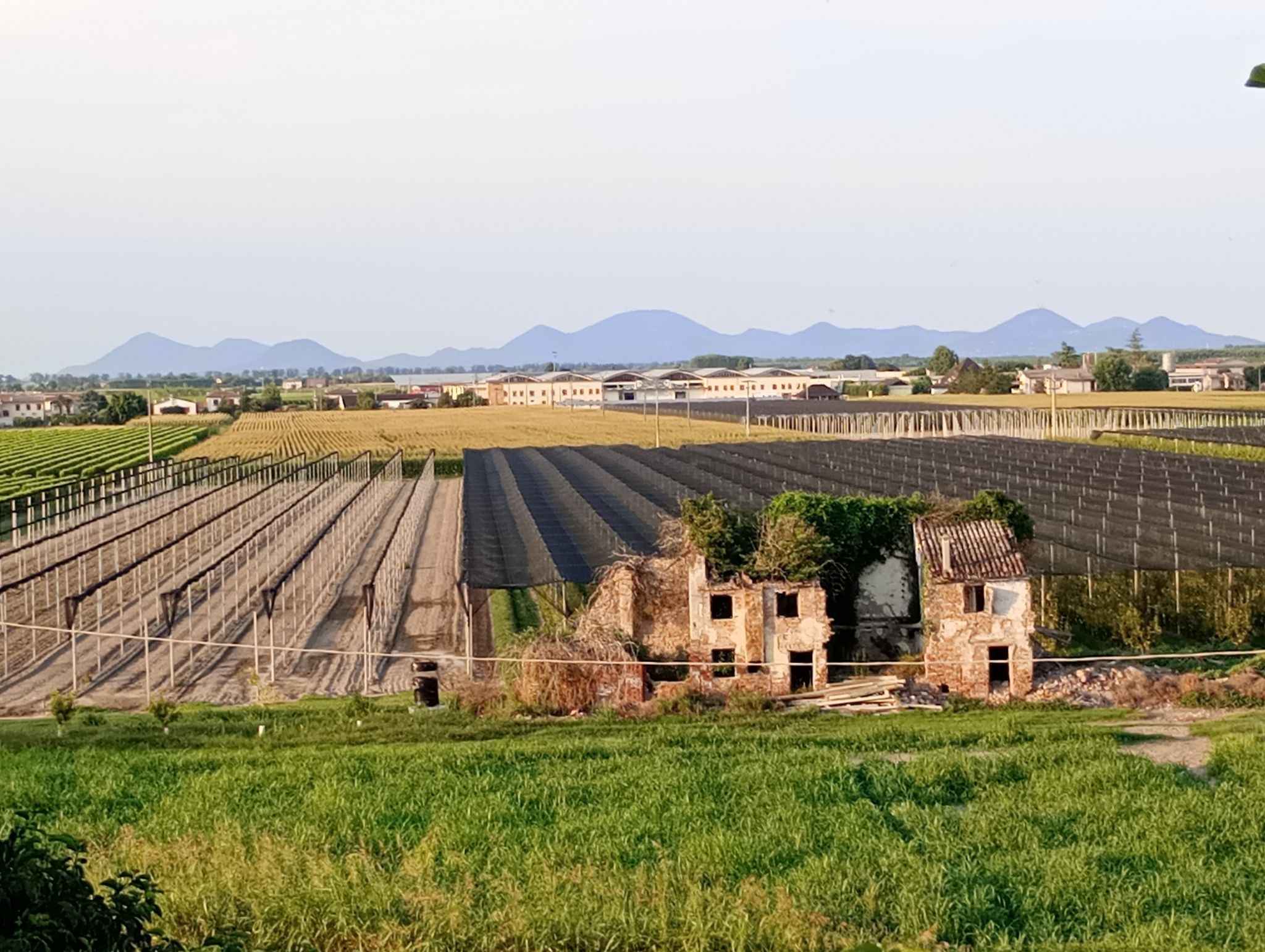 l'ombra che viene azzurra le colline