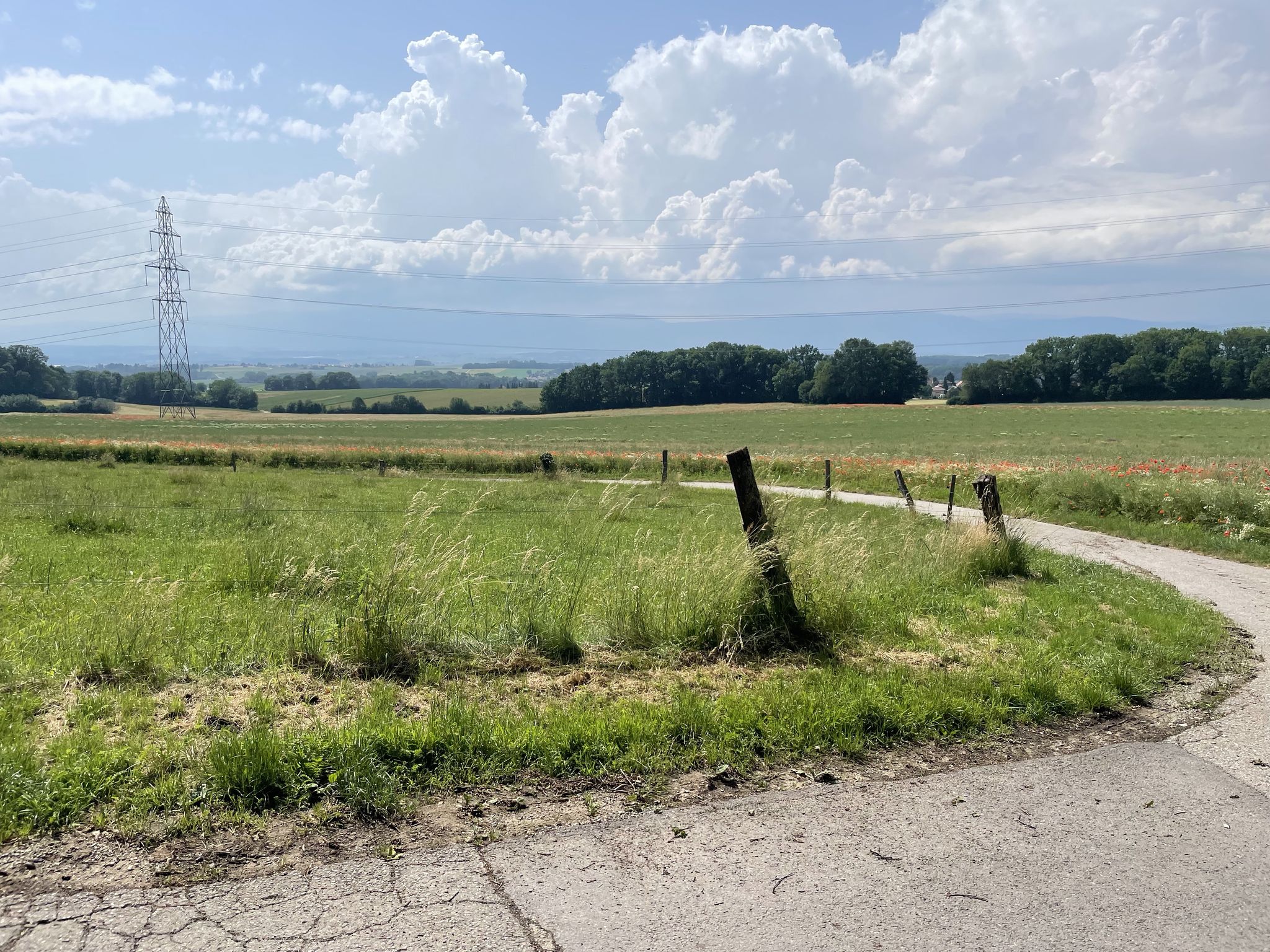 Typische Landschaft im Gros-de-Vaud