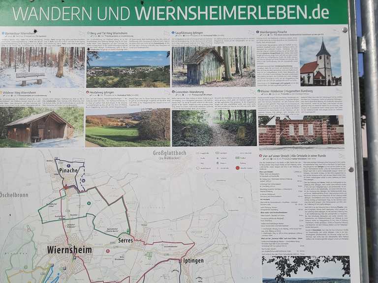 vom Waldenserdorf Pinache nach Enzberg-Eppinger Linie ...