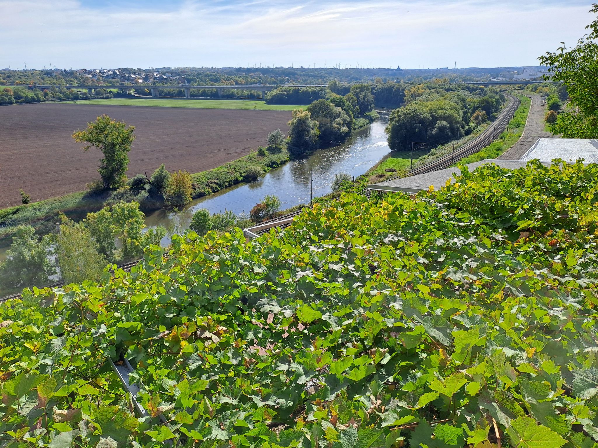 Bis jetzt ging mein Blick immer nur von unten nach oben...😎