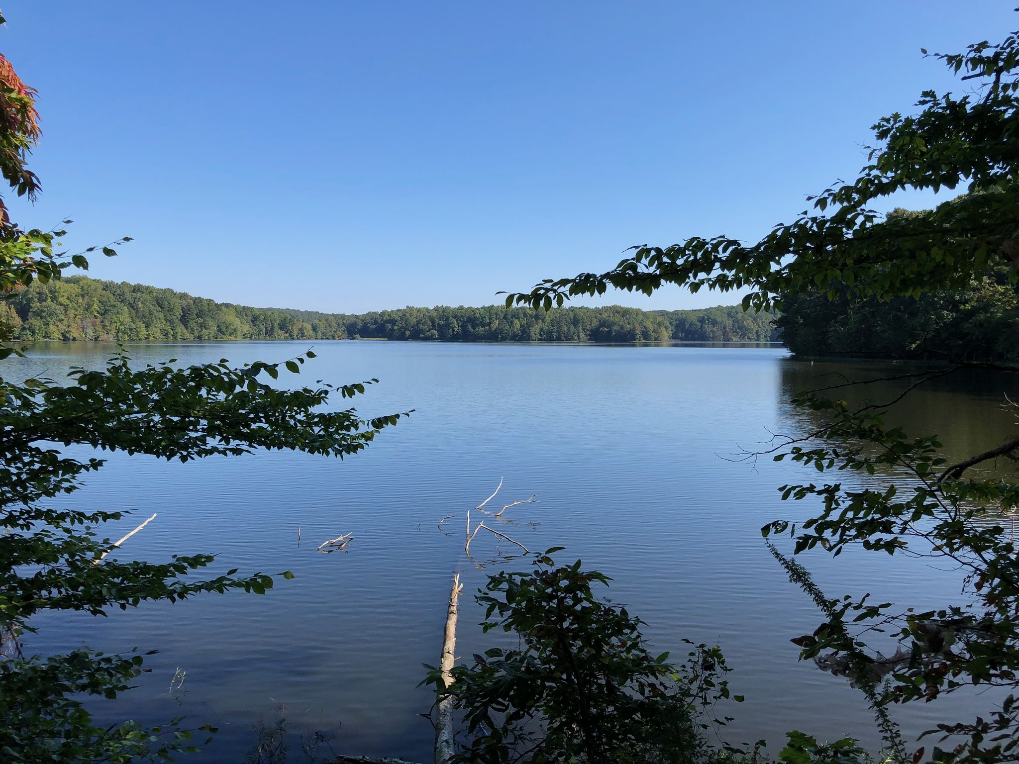 A tranquil lake framed by green tree branches under a clear blue sky. - Salem Lake Trail loop from Salem Creek