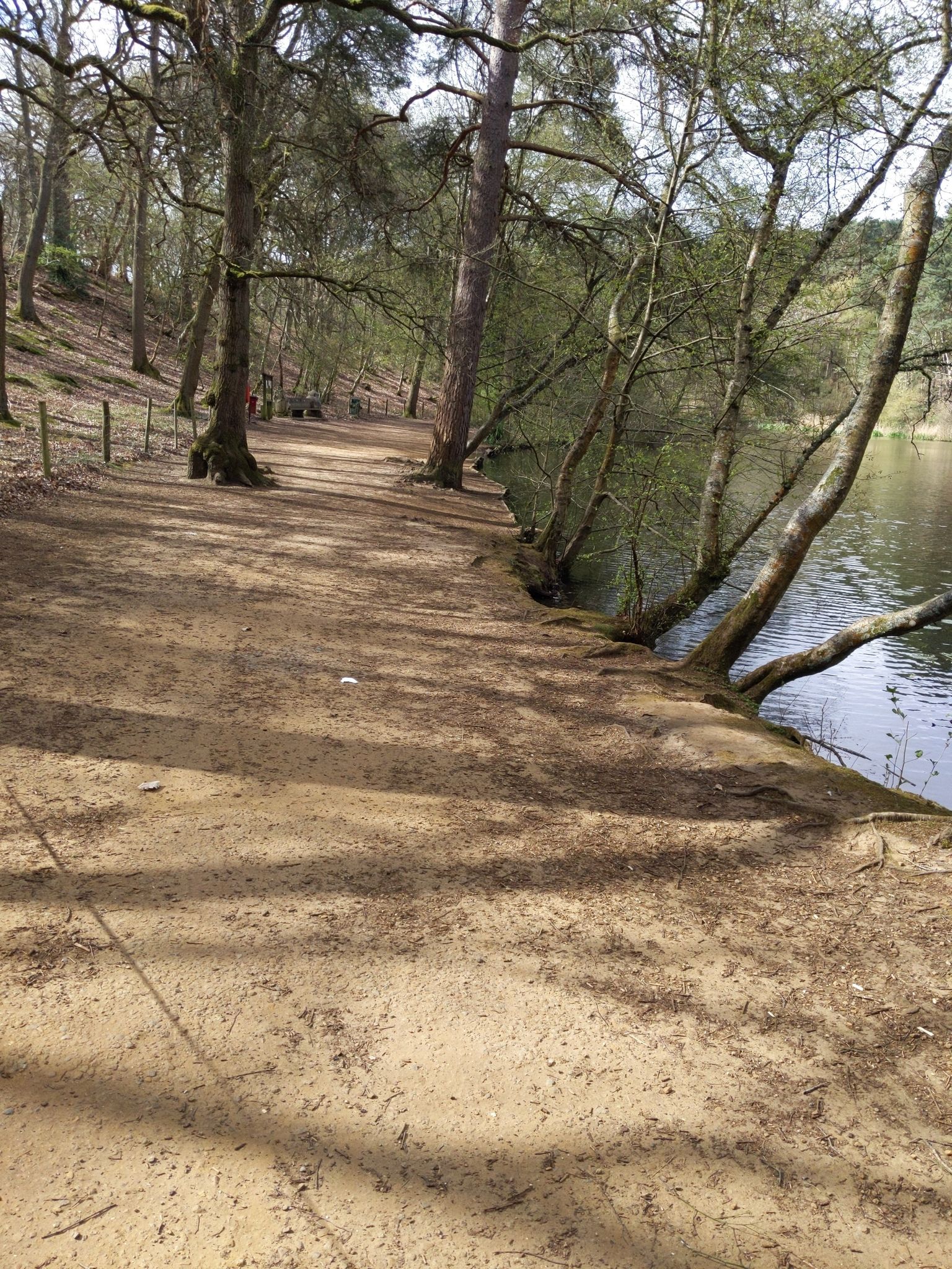 Stockgrove lake and bench