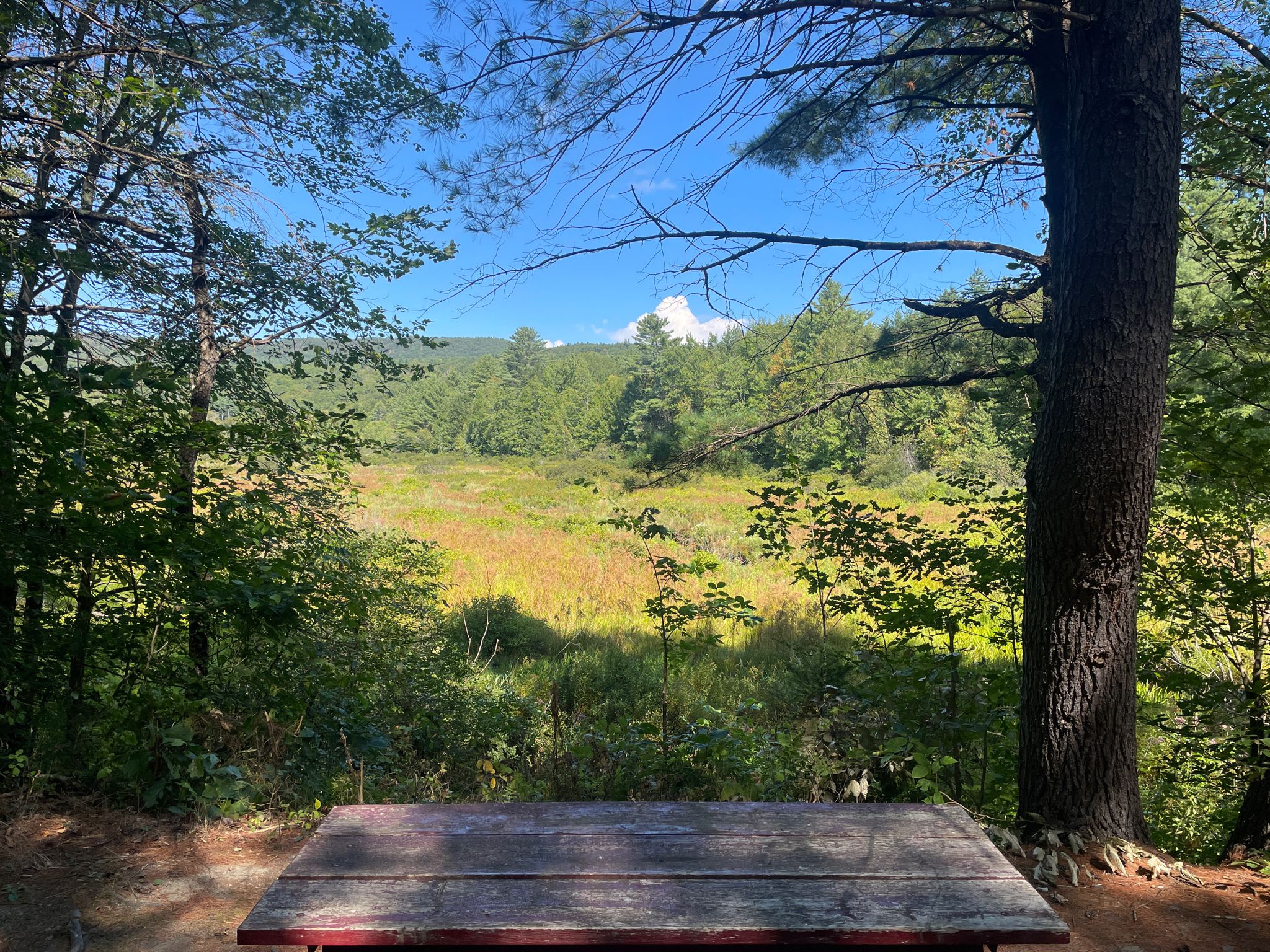 A wooden picnic table overlooks a sunny field and distant forested mountains. - Northern Rail Trail