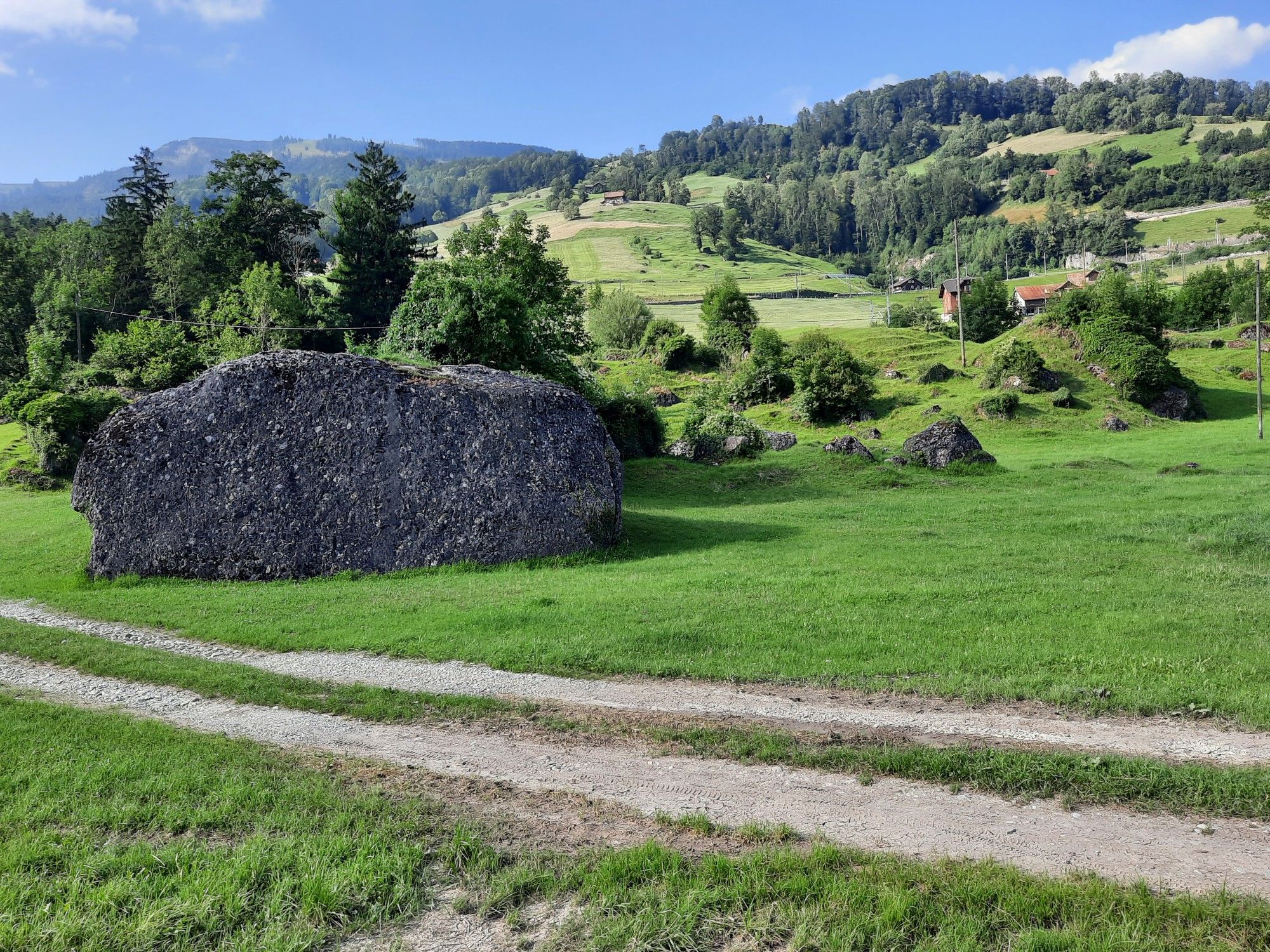 Vom Goldauer Bersturtz