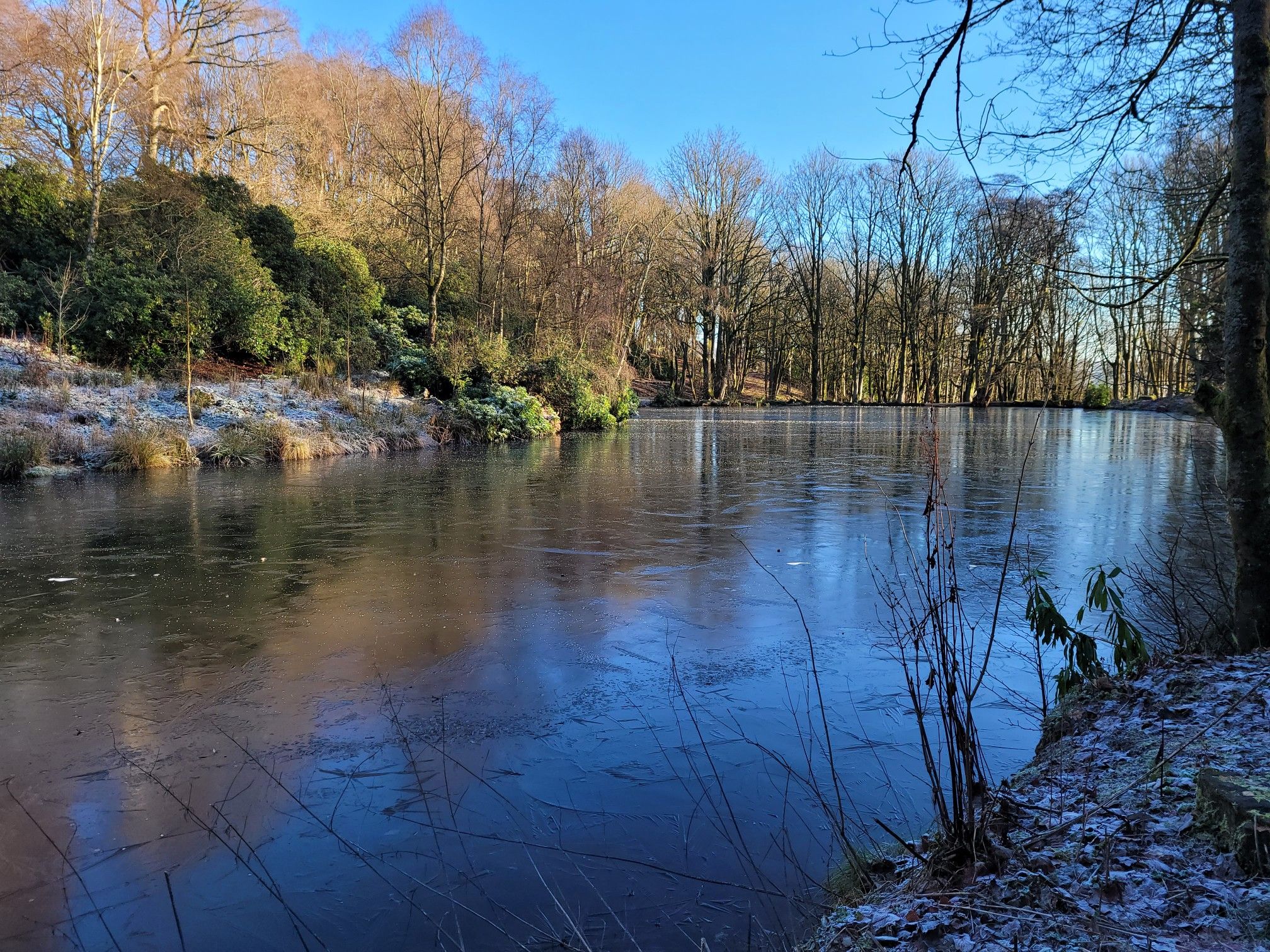 Frozen pond! 