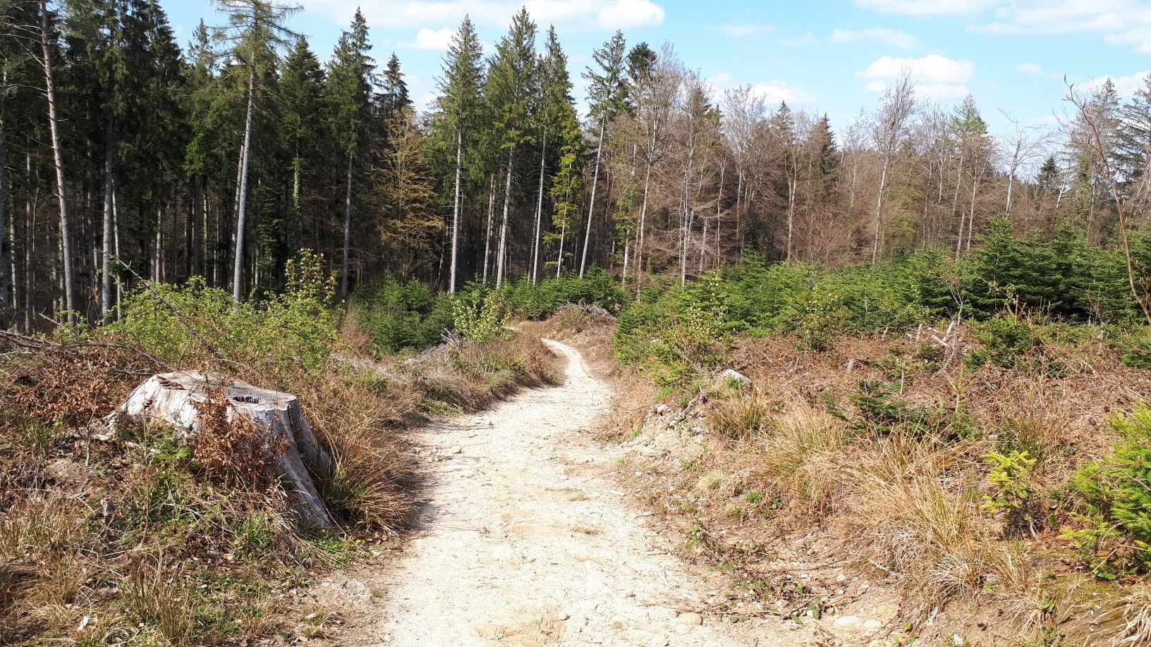 Schürbergtrail