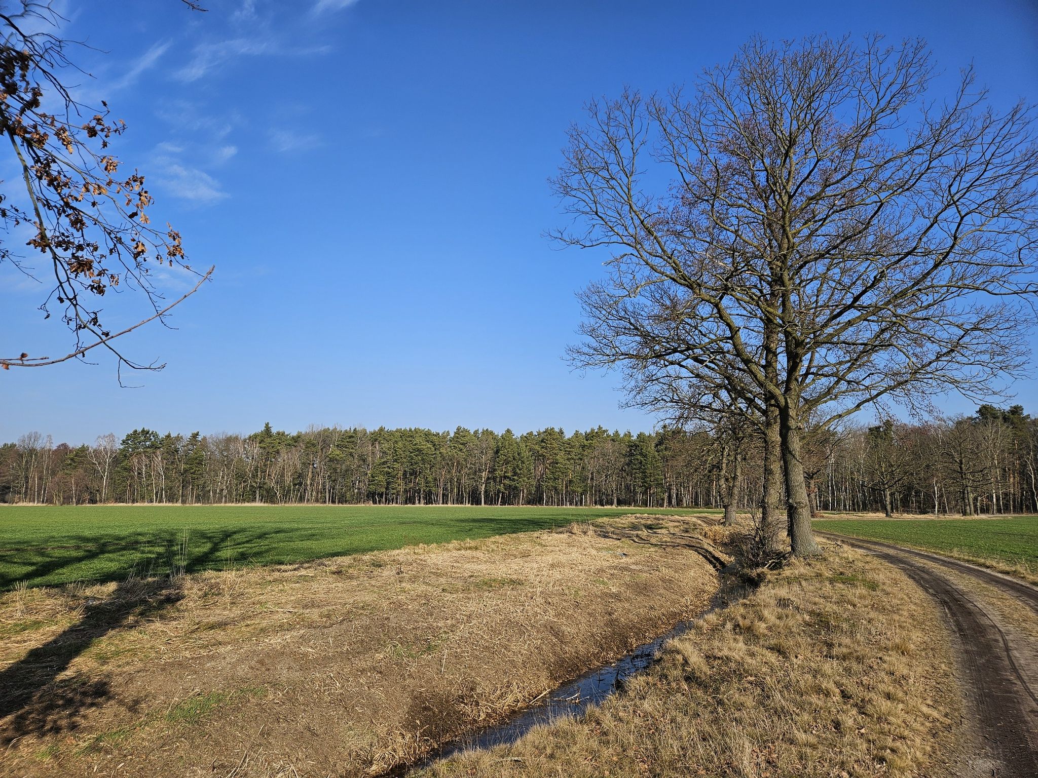 Feldweg am Johnsdorfer Bach