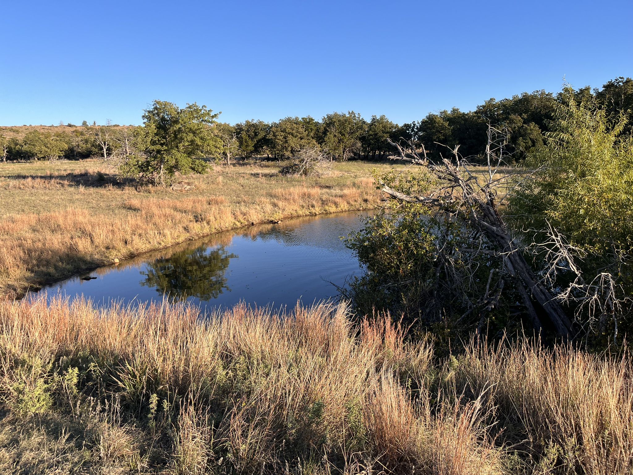 A calm pond surrounded by dry grass and trees under a clear blue sky. - West Cache Creek loop from Eagle Mountain