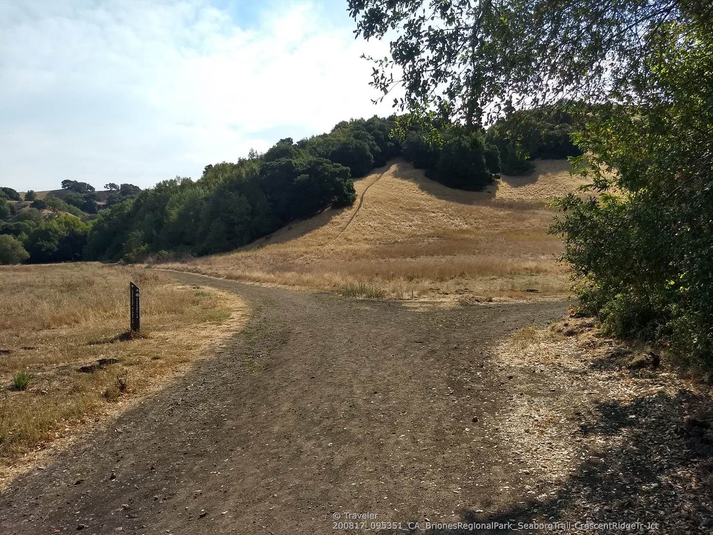 Fork in a gravel path, surrounded by dry grass and green trees. - Seaborg and Crescent Ridge Trail Loop