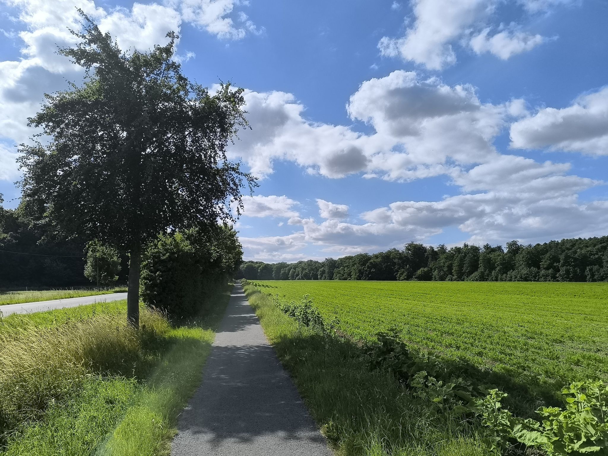 Varnhöveler Straße