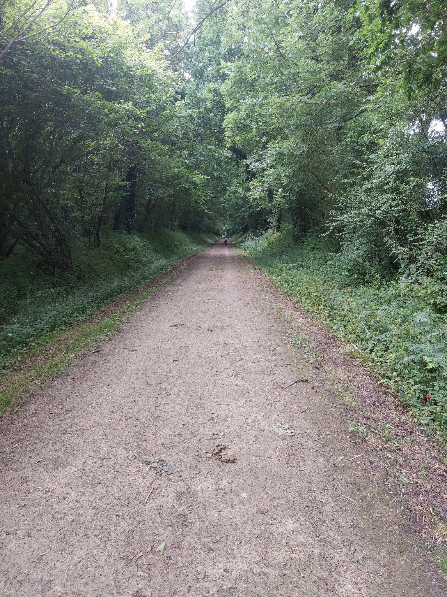 Oude spoorlijn, mooi fietspad