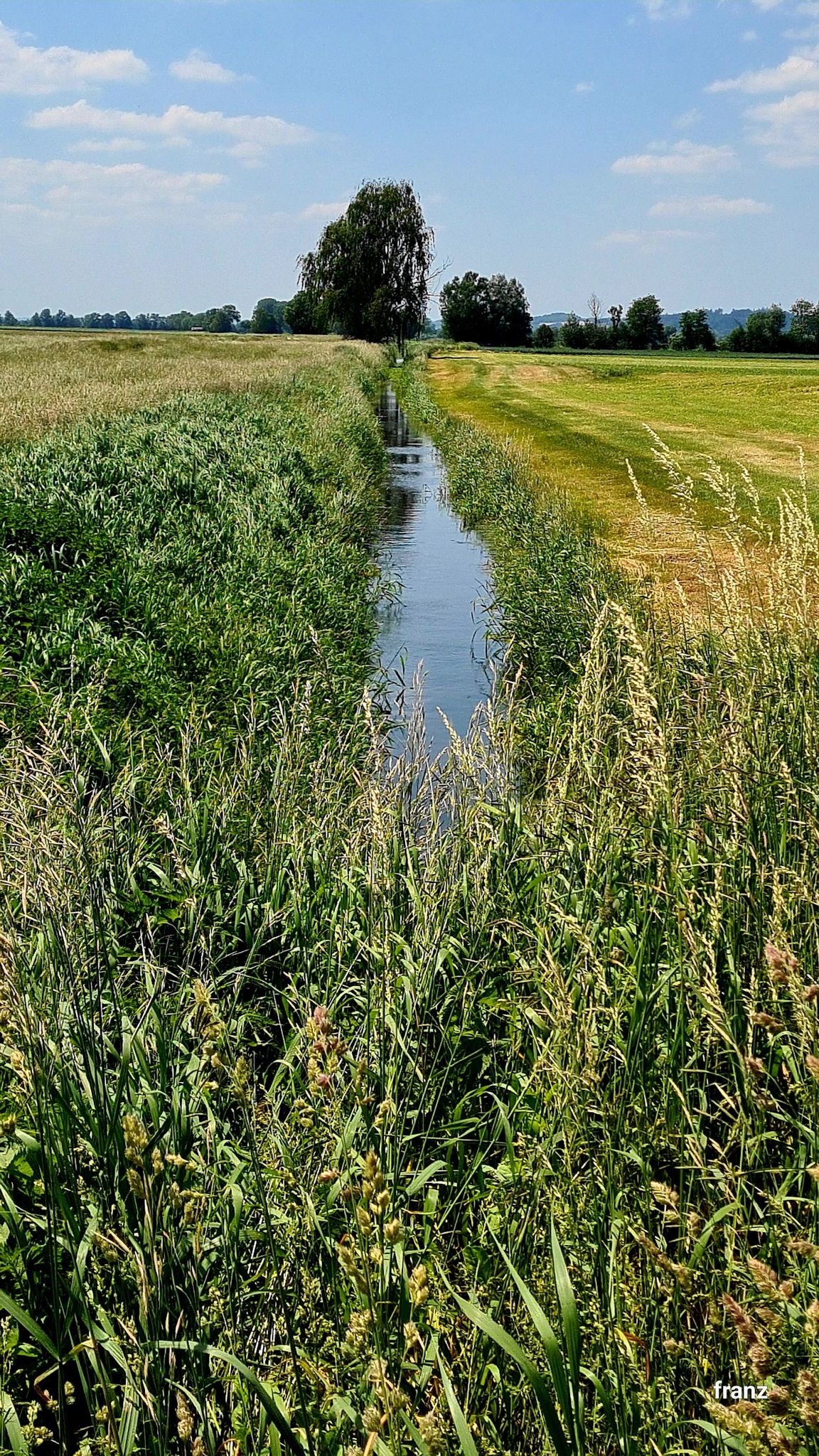Der Krebsgraben bildet die Grenze zwischen den Landkreisen DGF-LAN und LA
