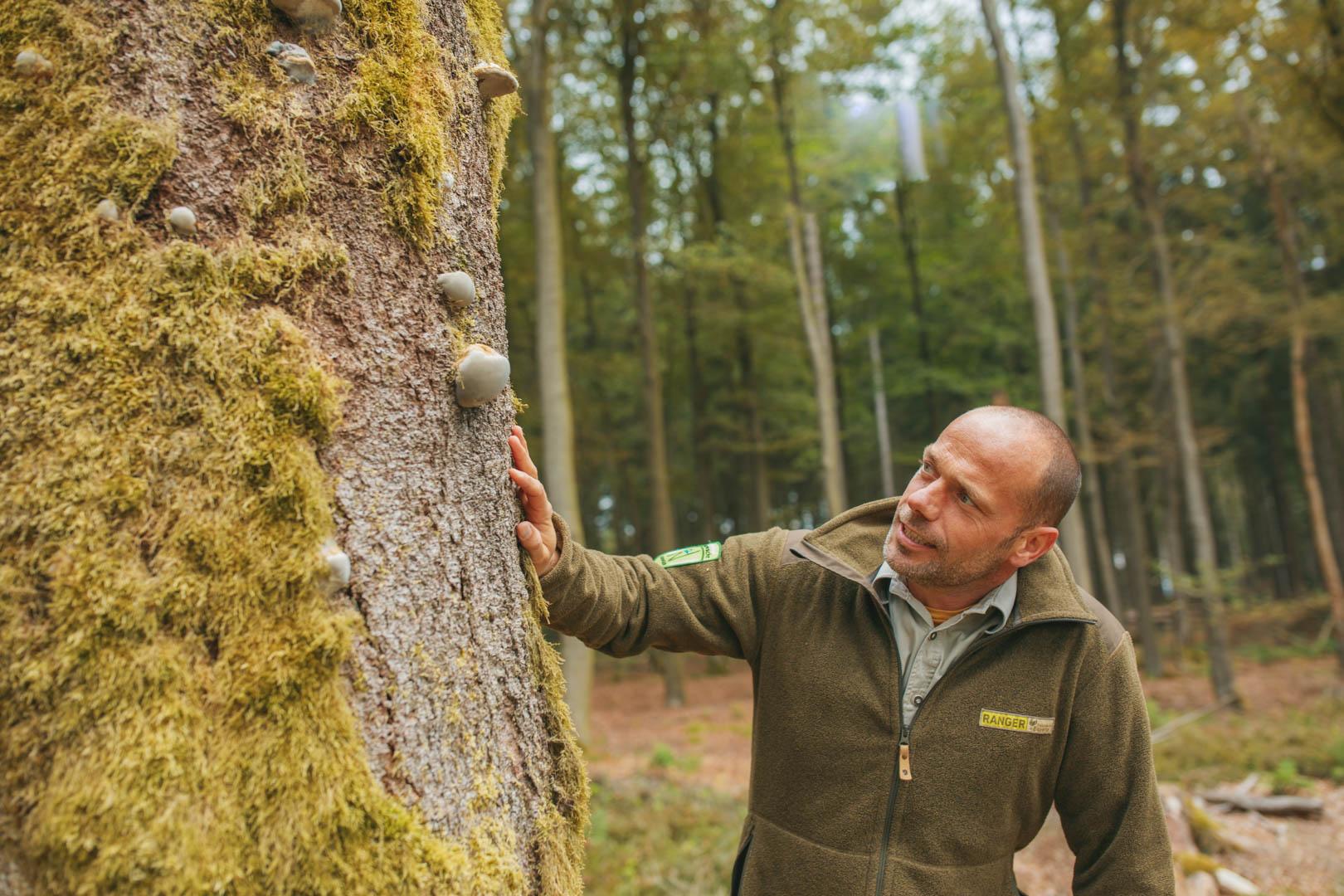 Tipps der Naturpark-Ranger | Wander-Collection von komoot