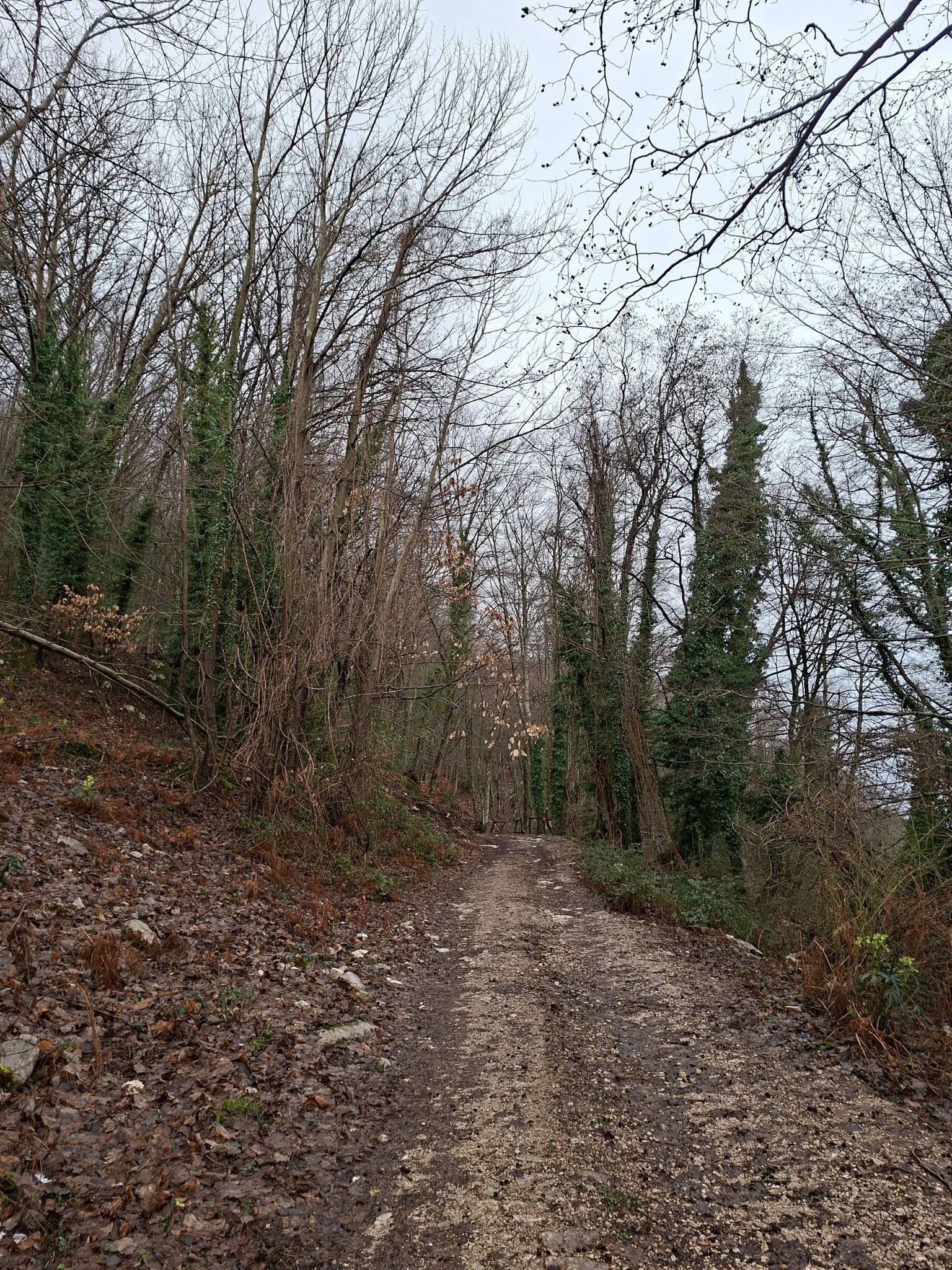 Section of the "Sentiero Italia"