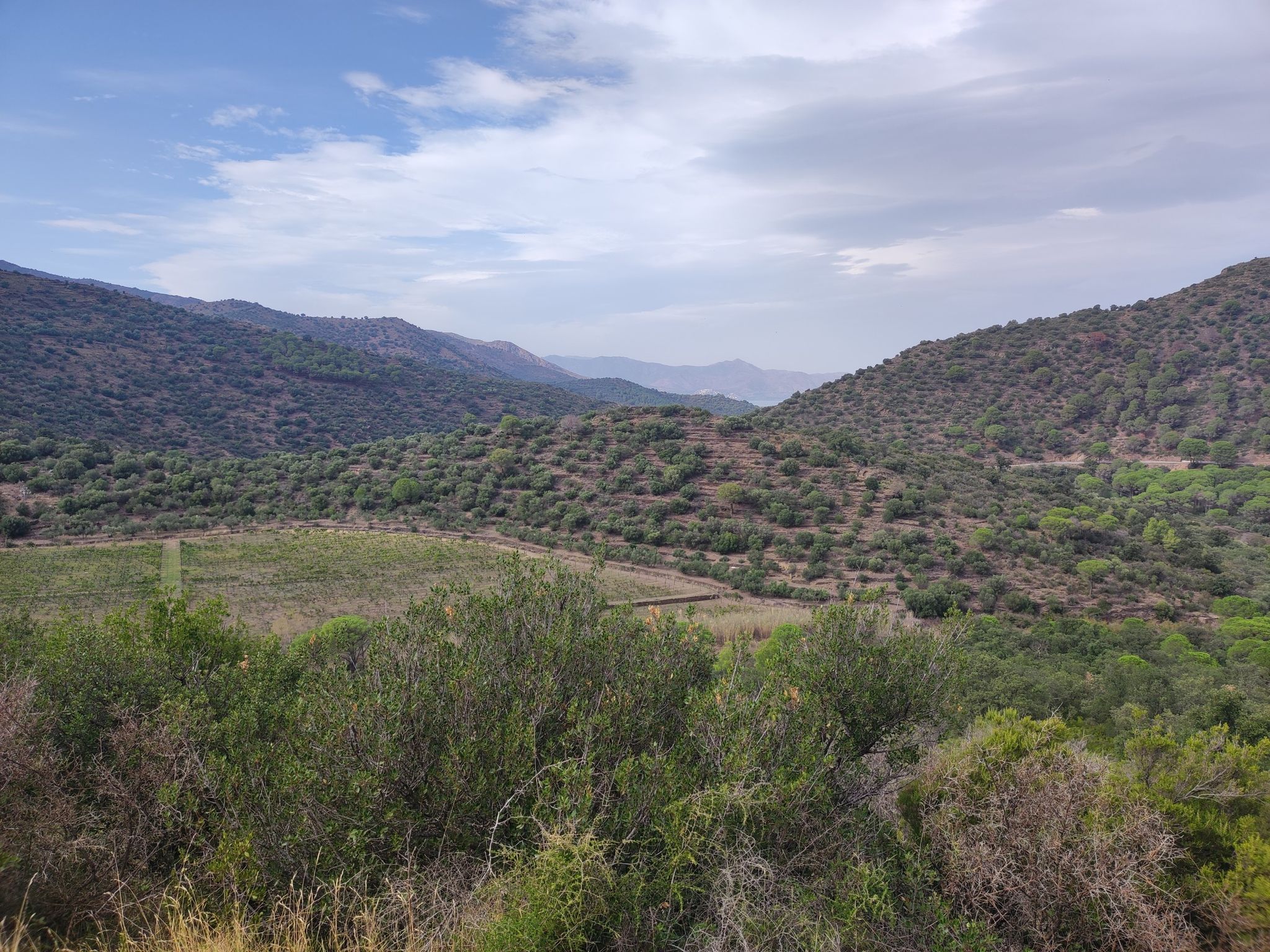 Hügelige Landschaft