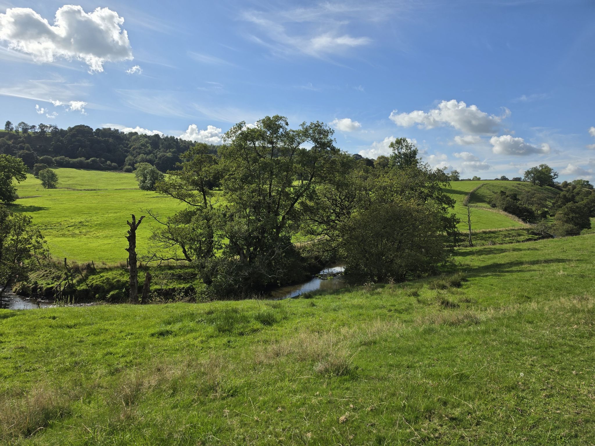 The River Dove